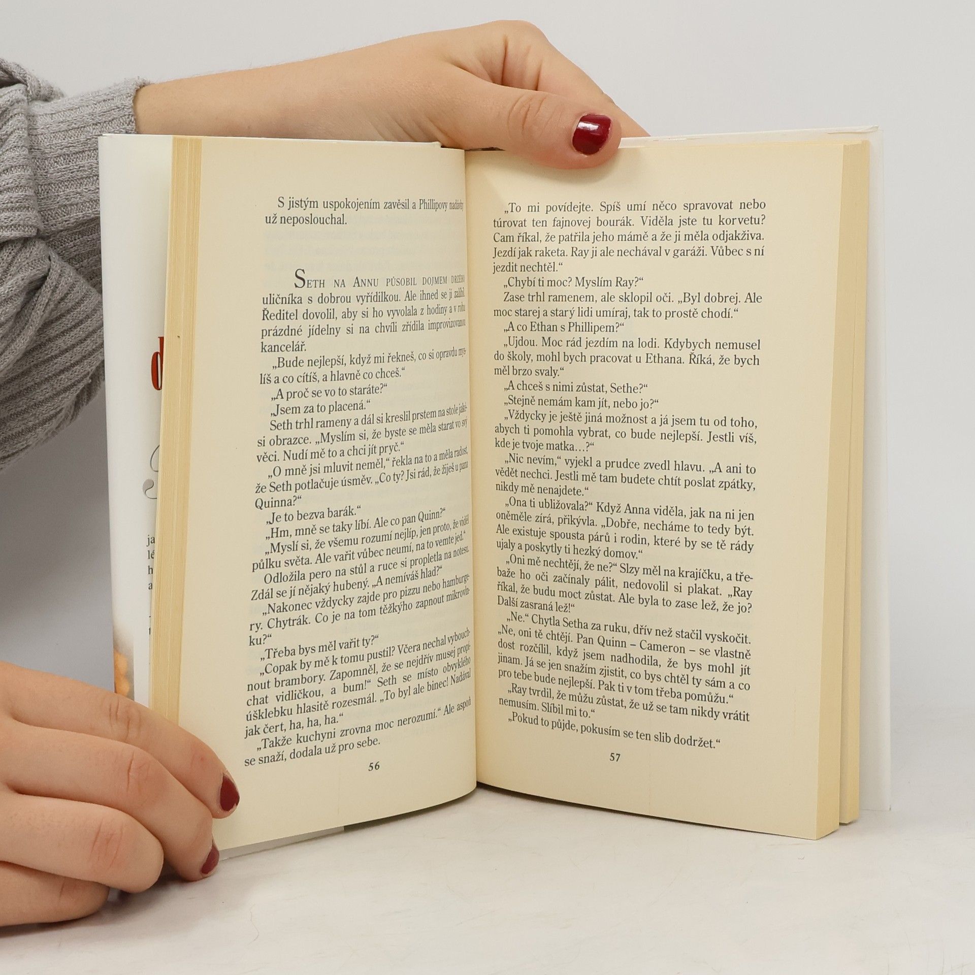 Nora Roberts Past na dobrodruha