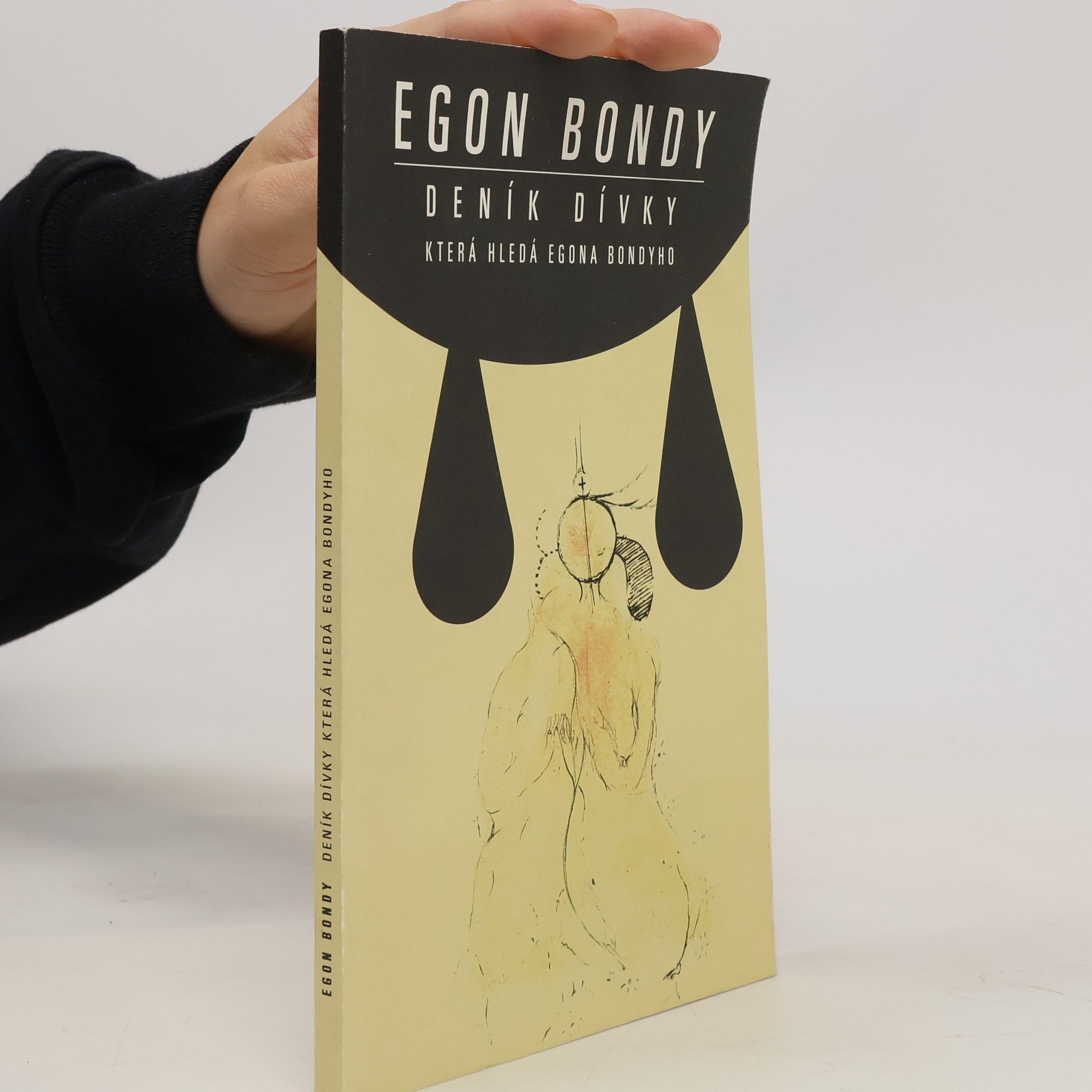 Egon Bondy Deník dívky, která hledá Egona Bondyho