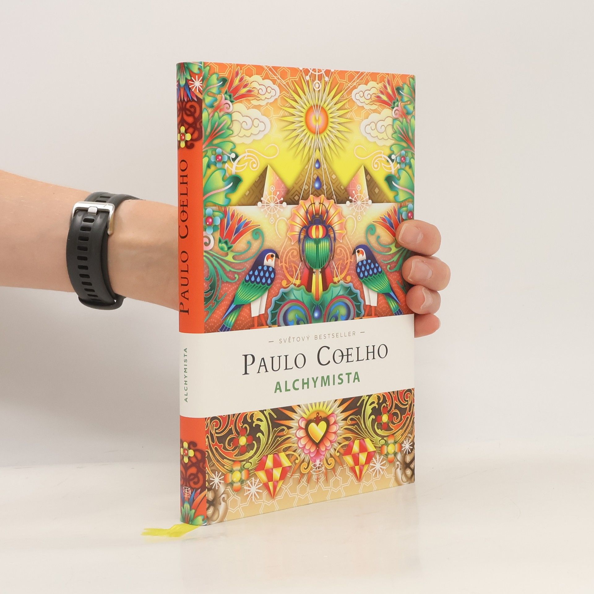 Paulo Coelho Alchymista