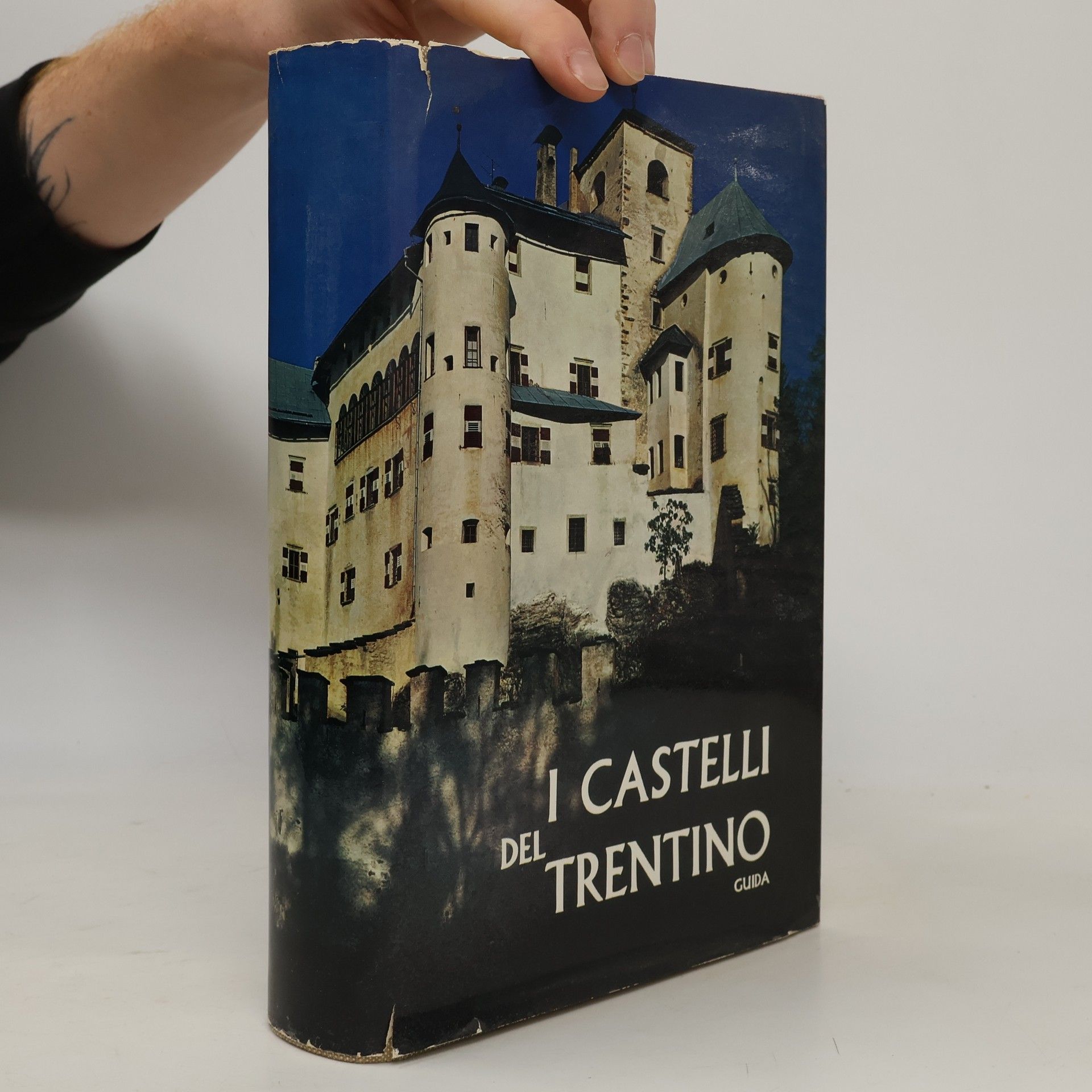 I Castelli del Trentino