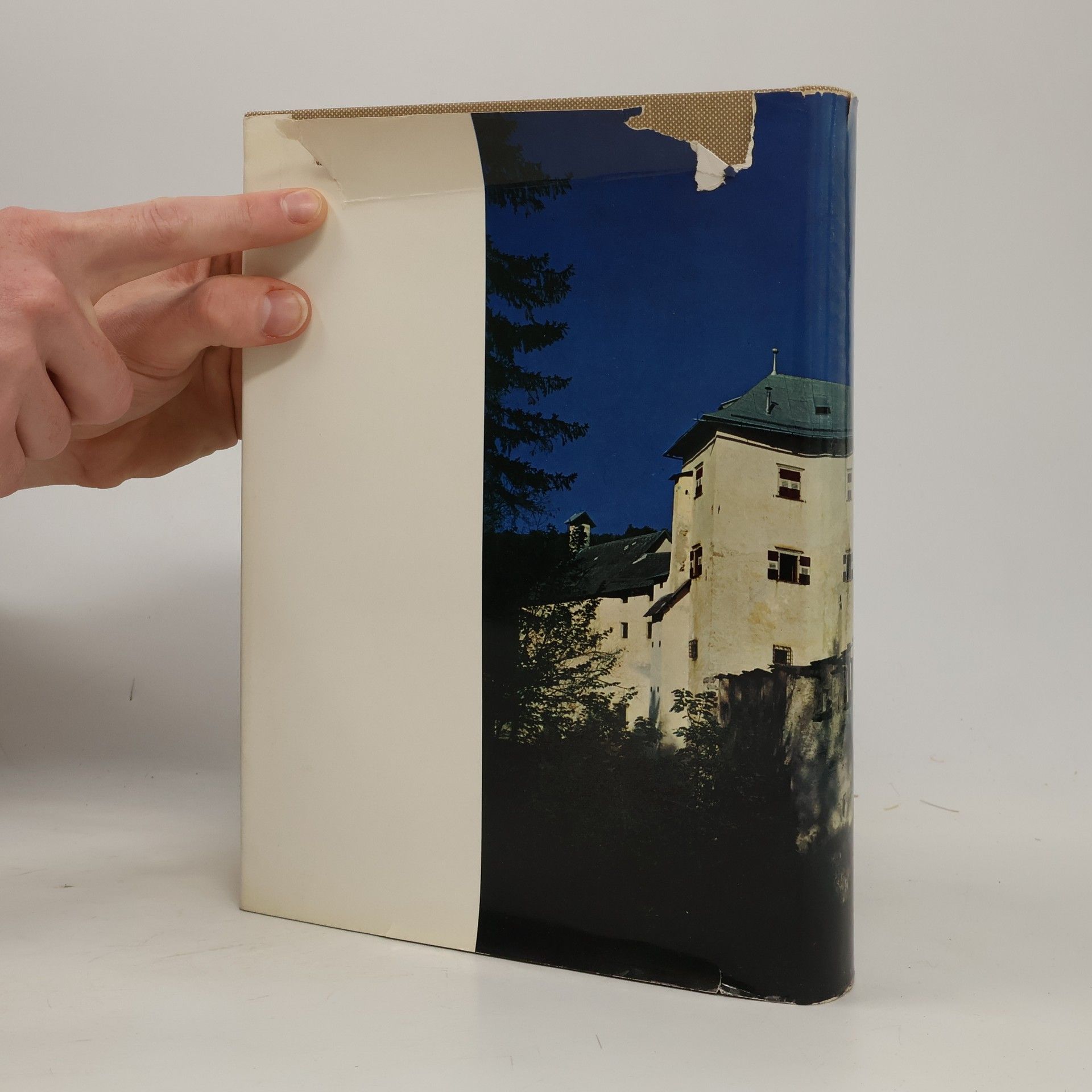 Aldo Gorfer I Castelli del Trentino