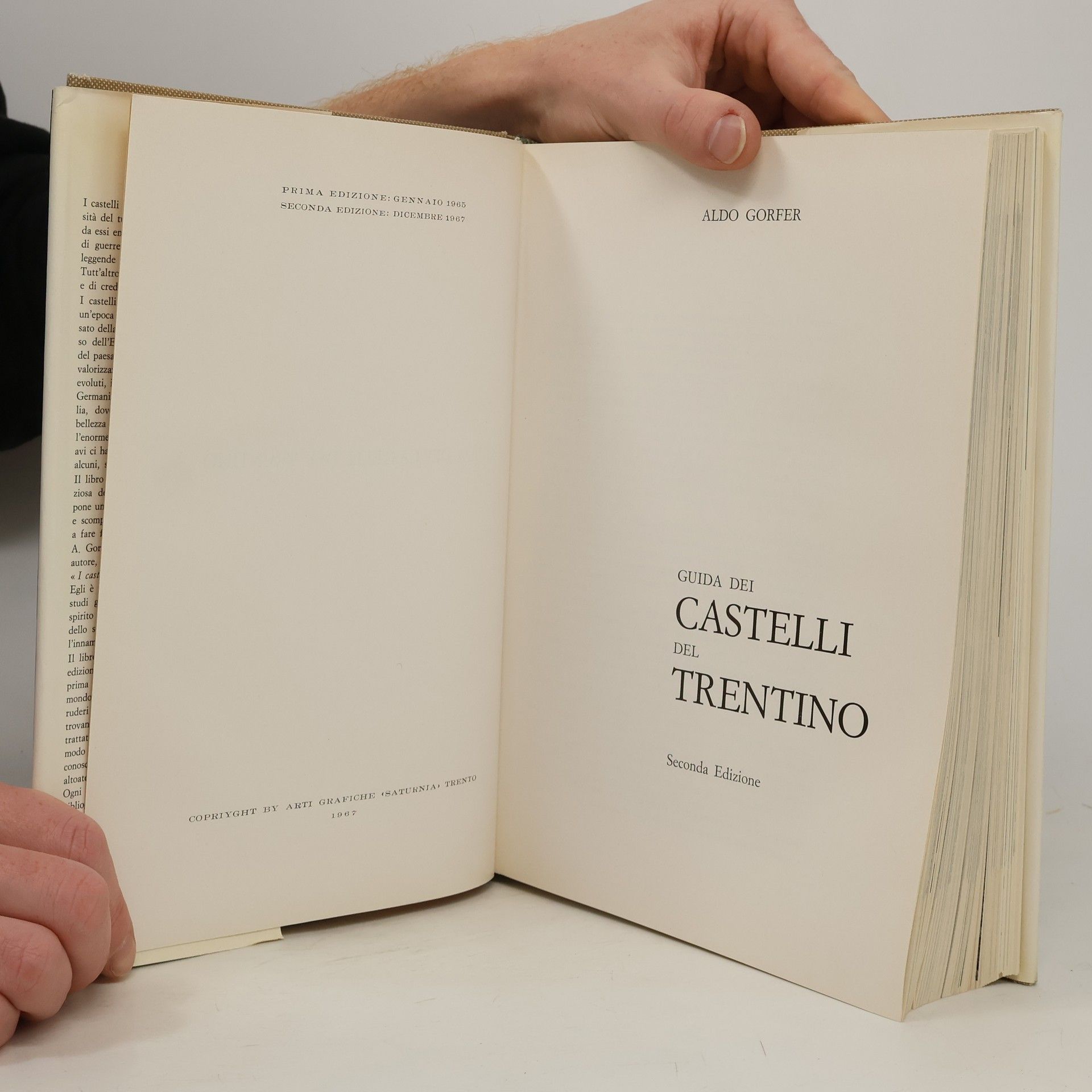 Aldo Gorfer I Castelli del Trentino