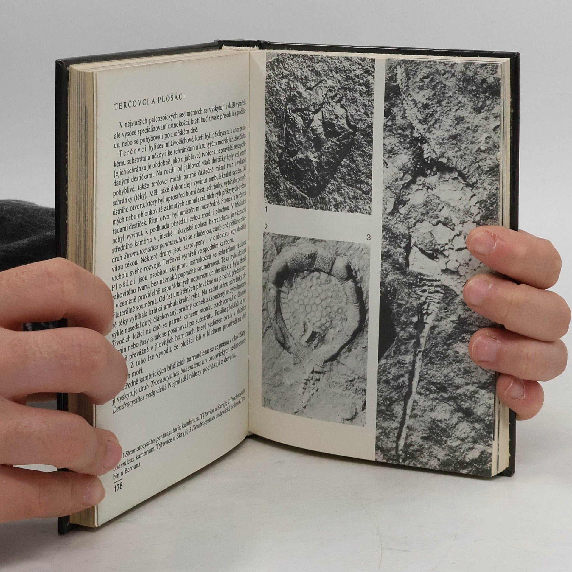 Vladimír Habětín Kapesní atlas zkamenělin