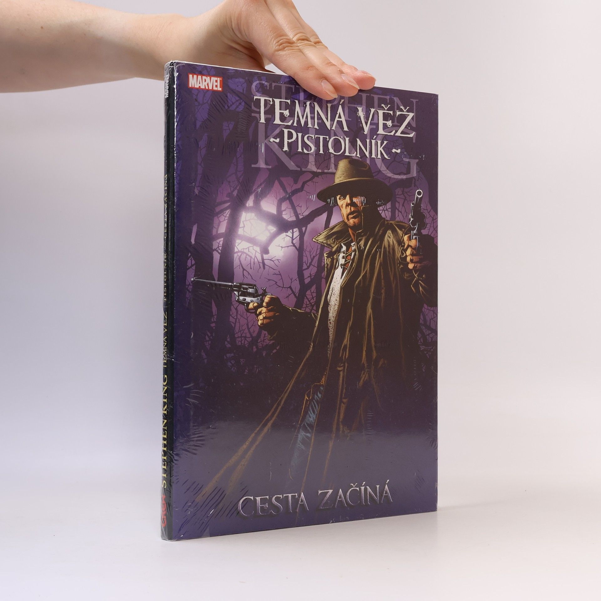 Petr David Temná věž 6: Pistolník 1: Cesta začíná