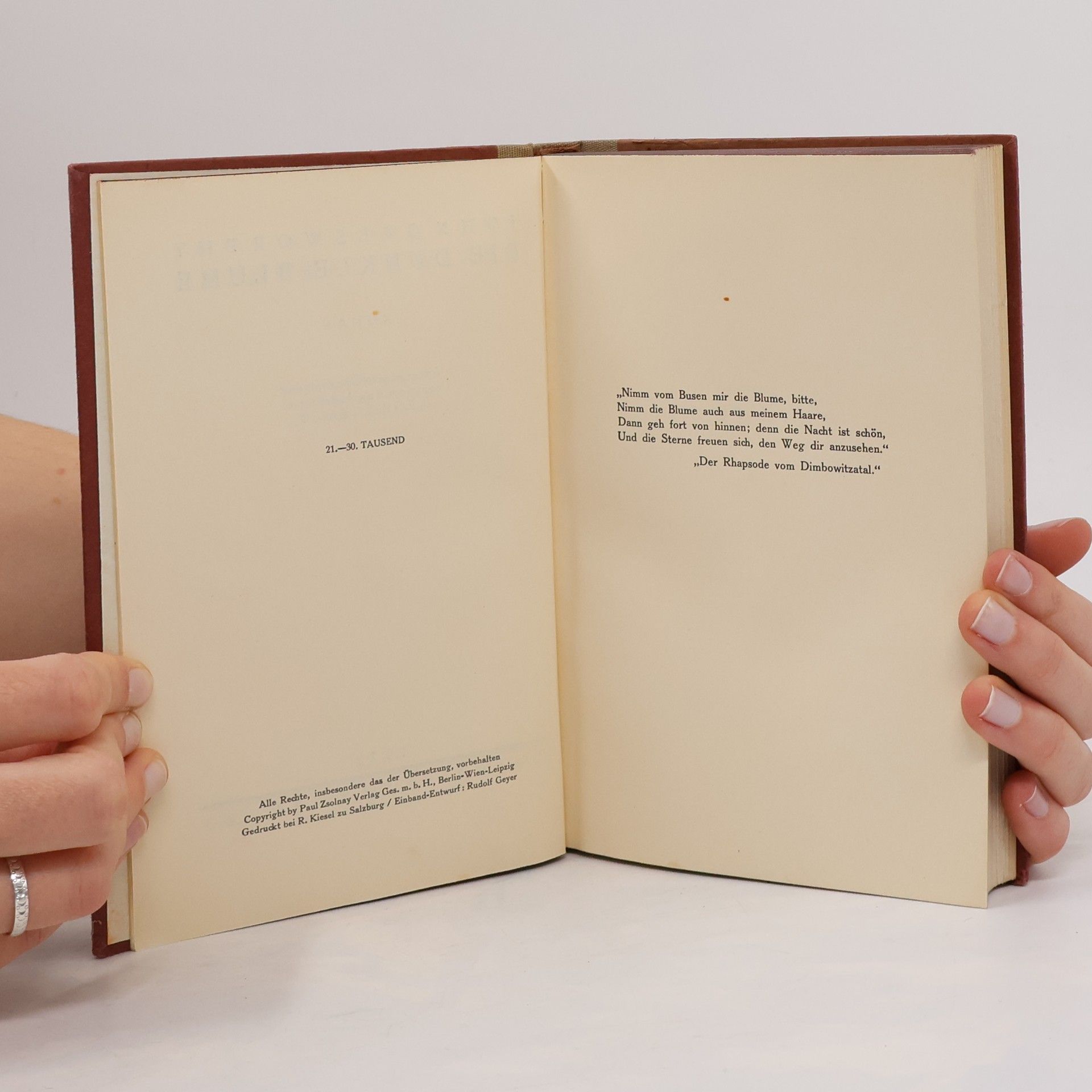 John Galsworthy Die dunkle Blume