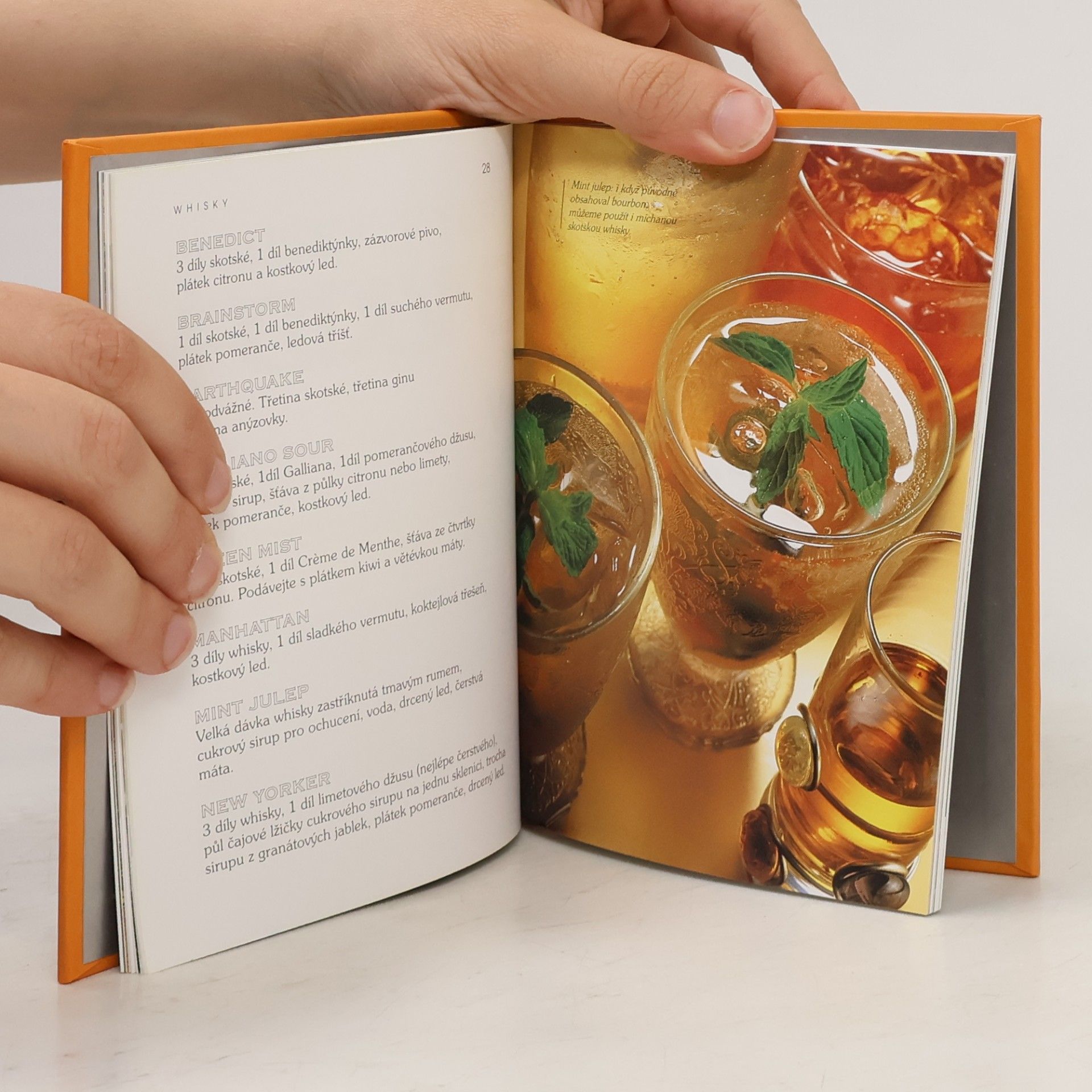 Autorenkollektiv Whisky