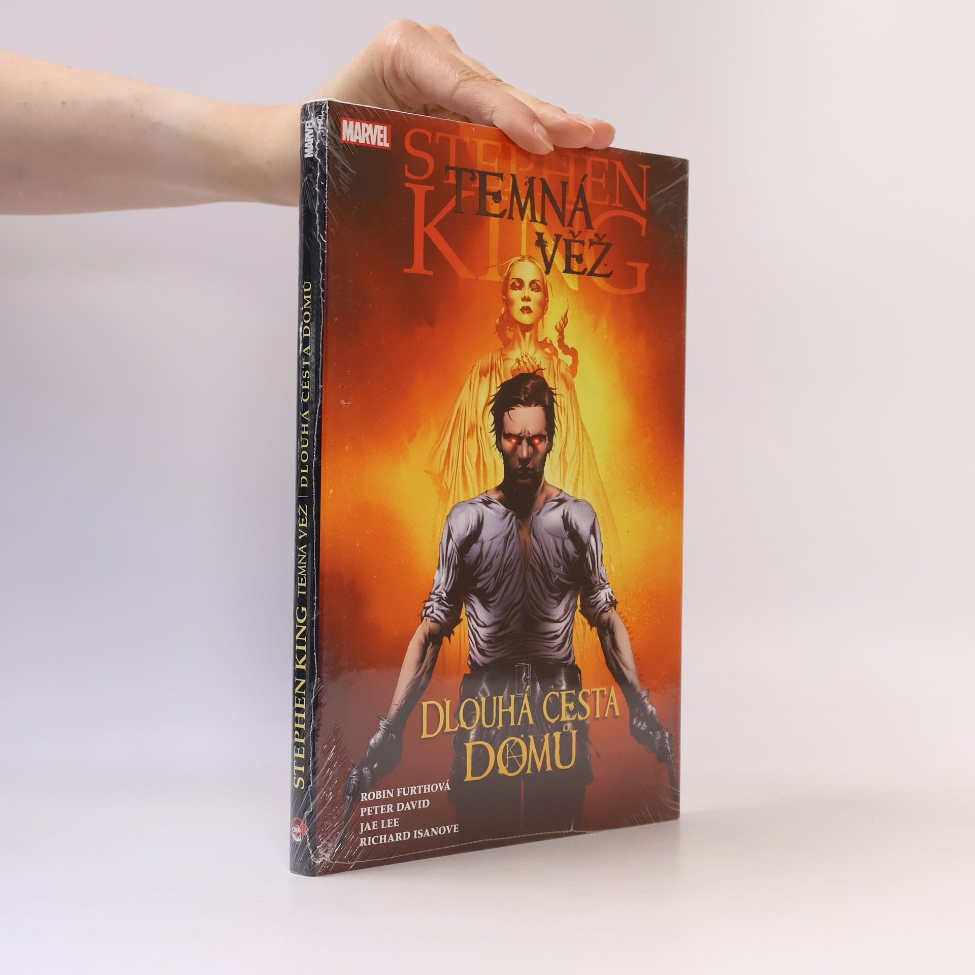 Temná věž. Dlouhá cesta domů