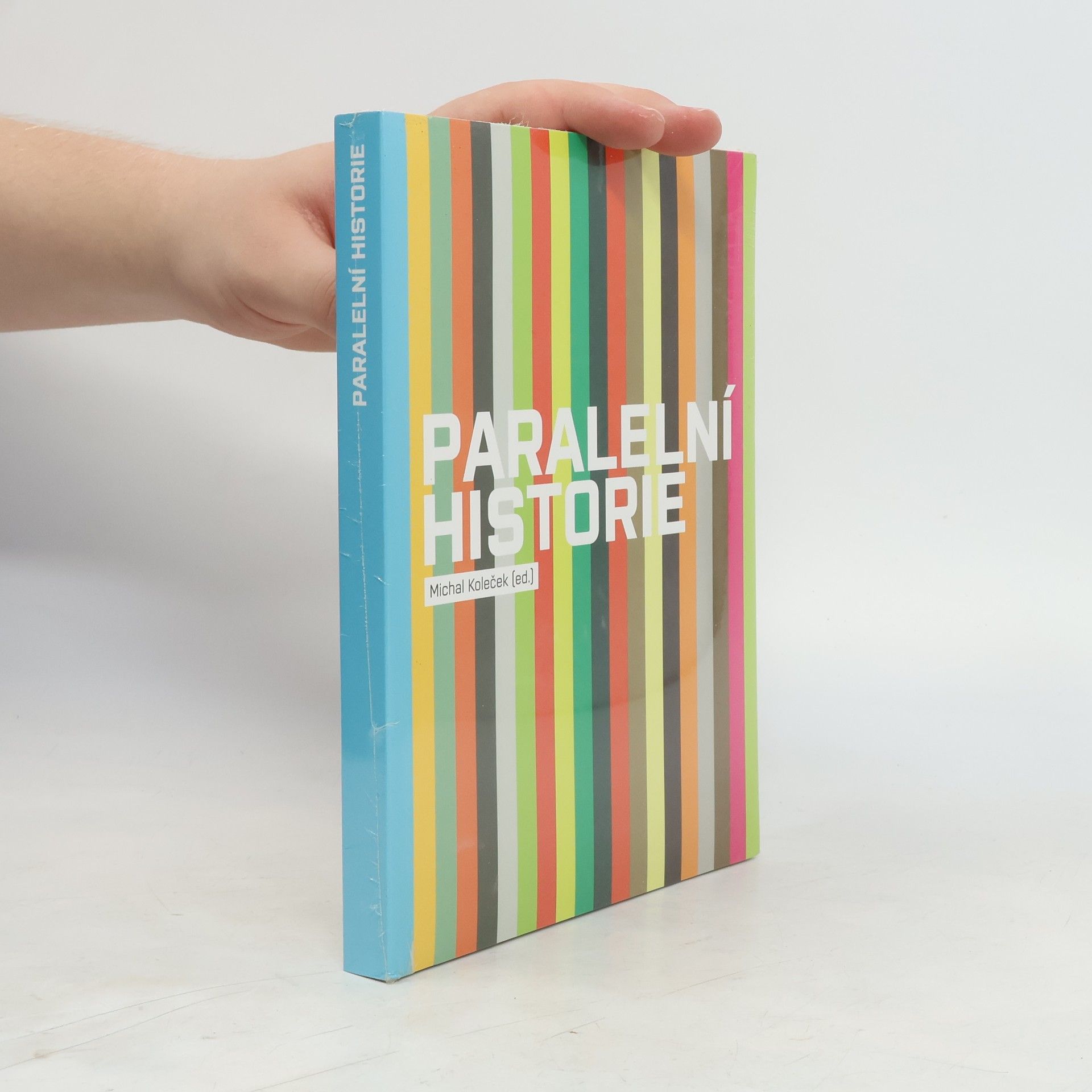 Michal Koleček Paralelní historie. Aktuální výtarné umění v Ústí nad Labem mezi lety 1990-2009