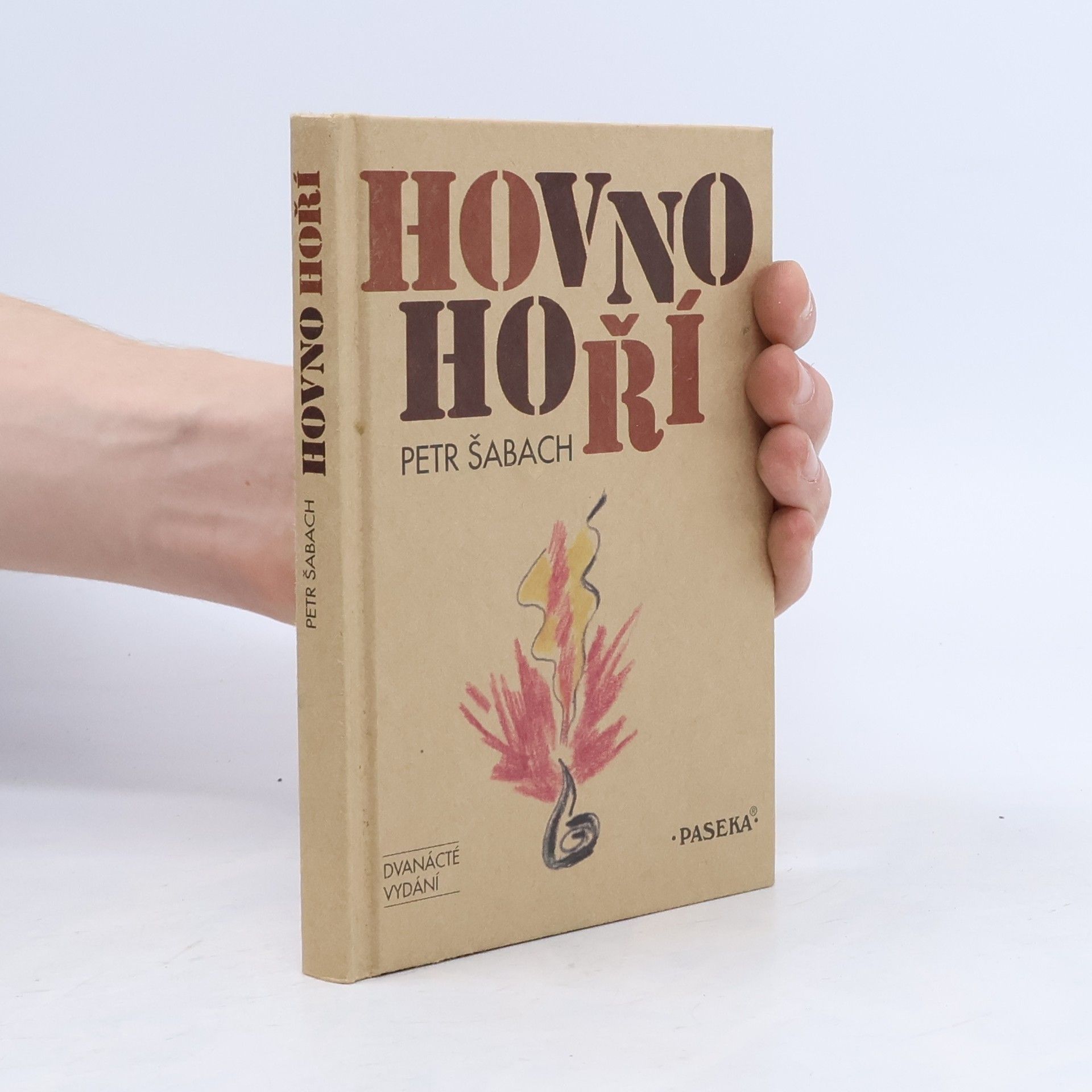 Petr Šabach Hovno hoří