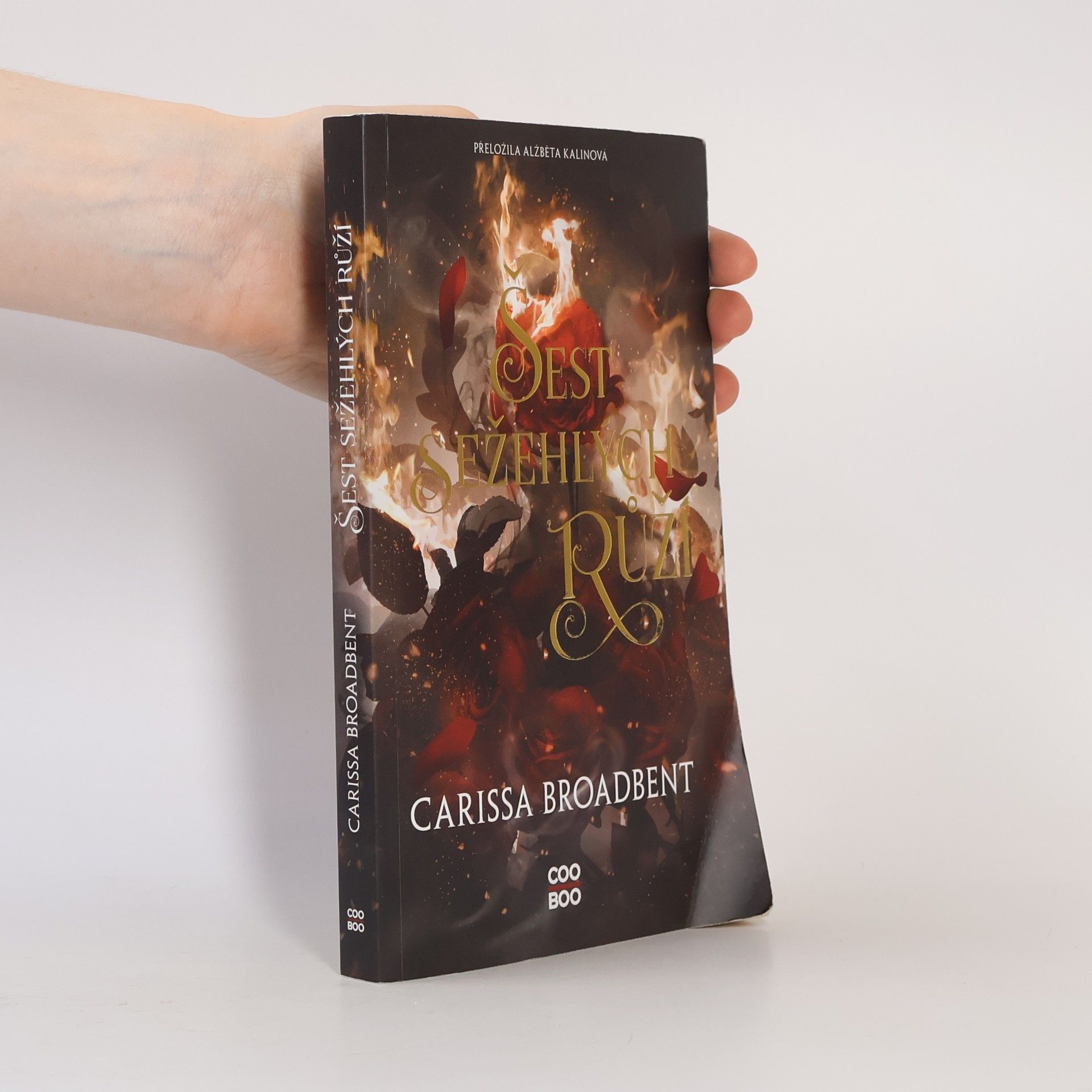 Carissa Broadbent Šest sežehlých růží