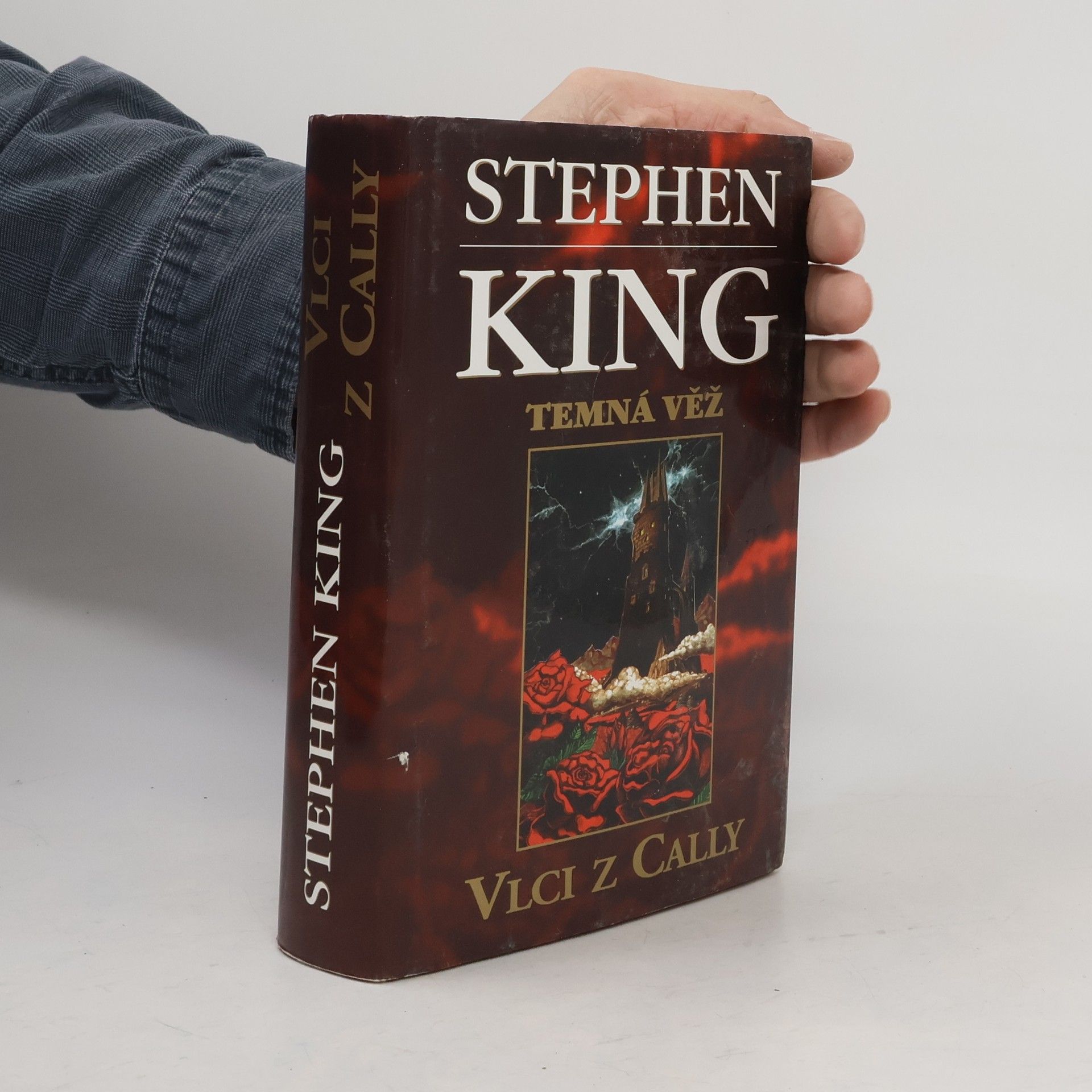 Stephen King Temná věž: Vlci z Cally