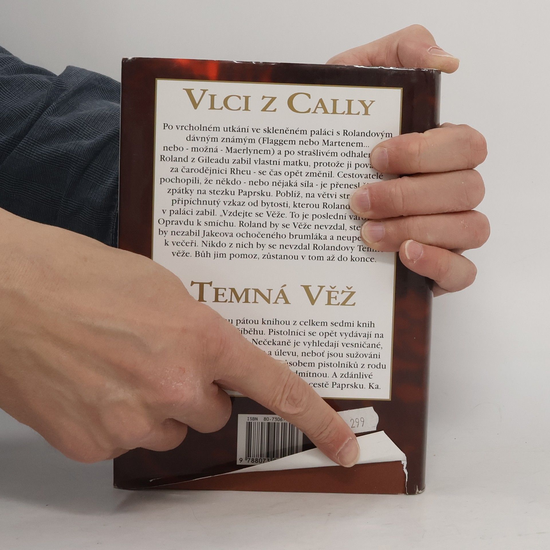 Stephen King Temná věž: Vlci z Cally