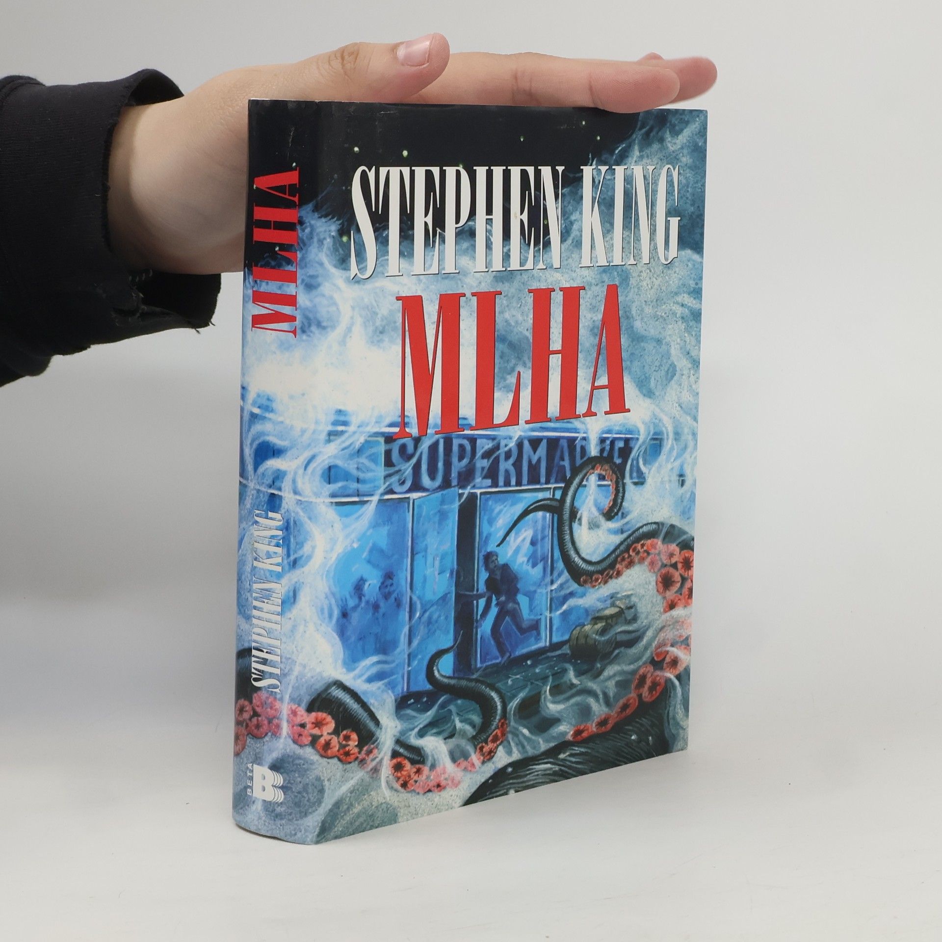 Stephen King Mlha