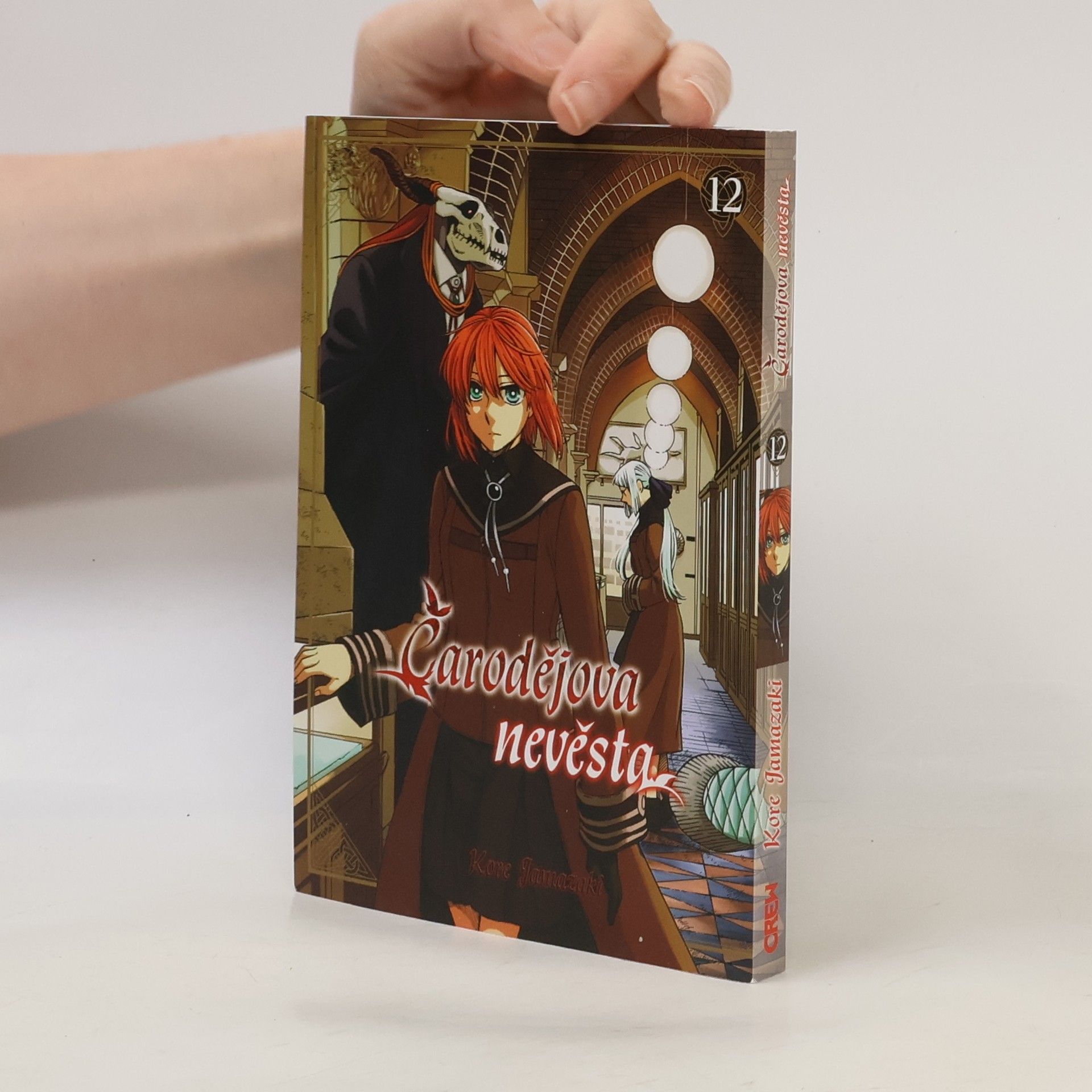 Kore Jamazaki Čarodějova nevěsta 12