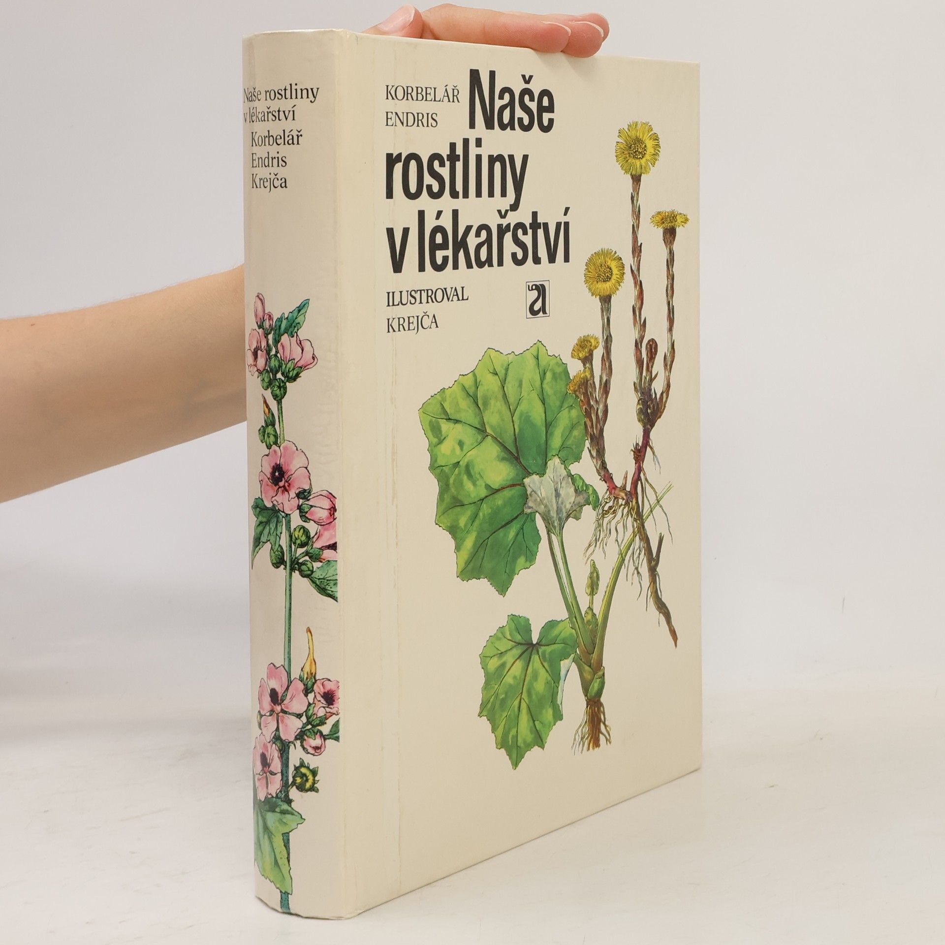 Jaroslav Korbelář Naše rostliny v lékařství