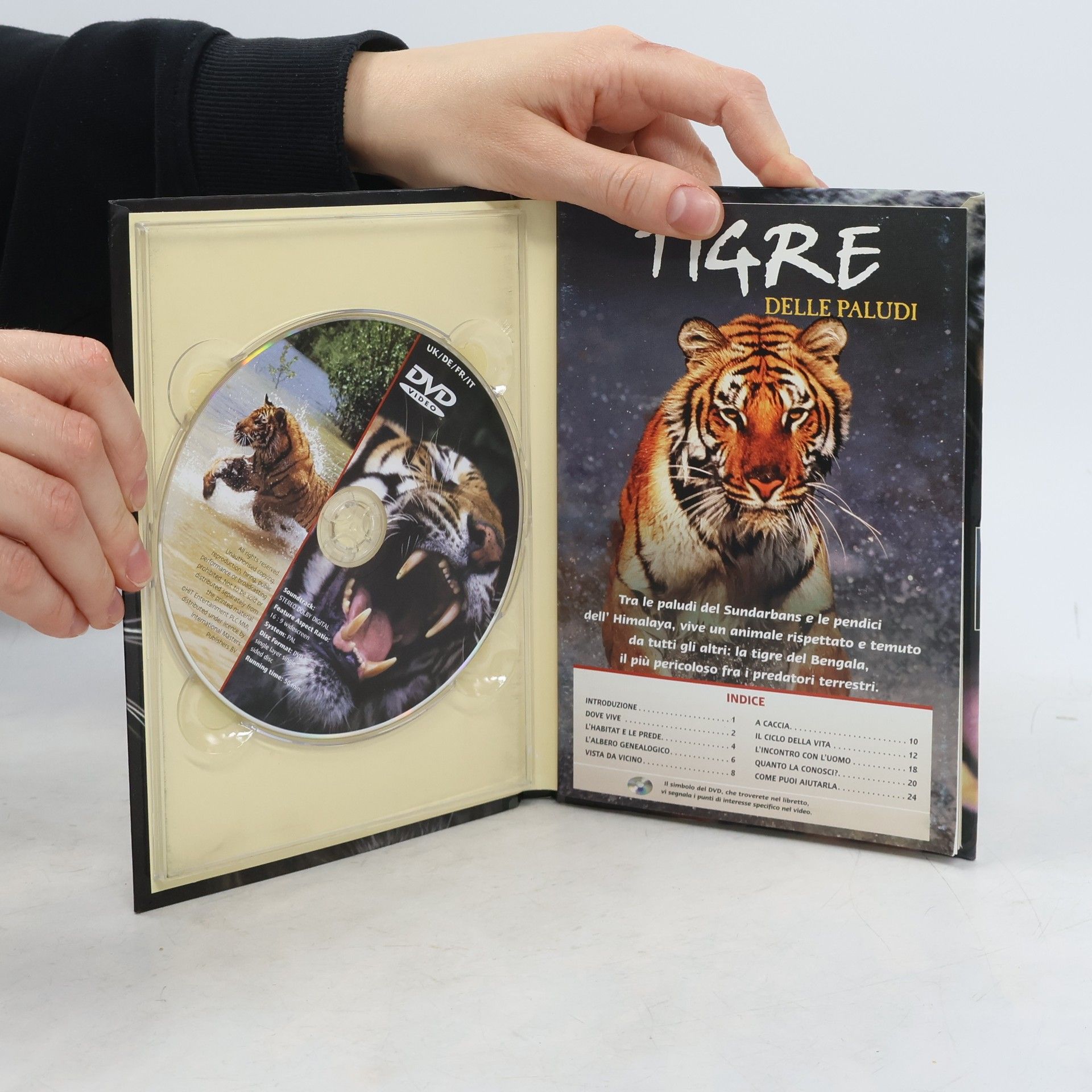 Autorenkollektiv Tigre delle paludi