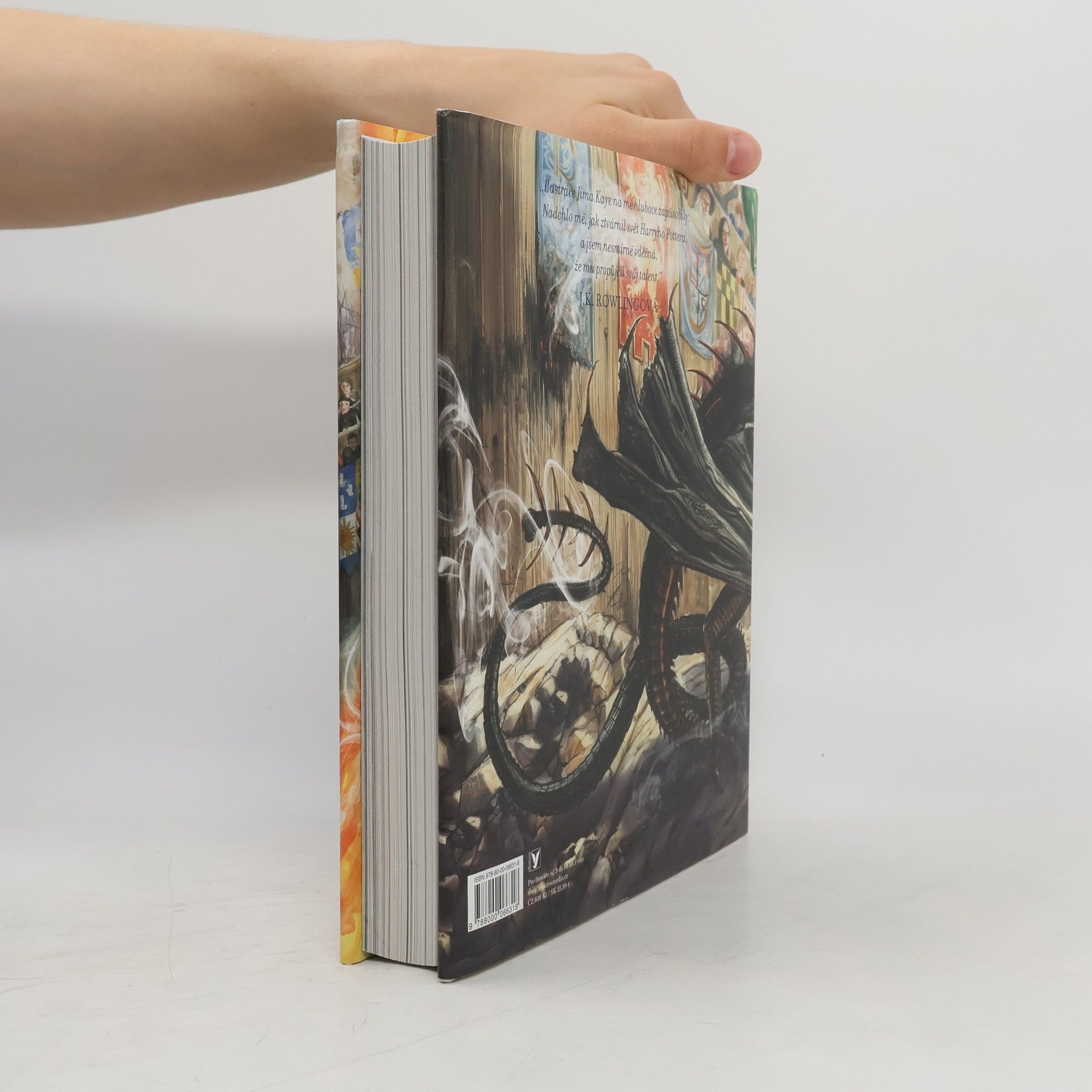 J. K. Rowling Harry Potter a ohnivý pohár