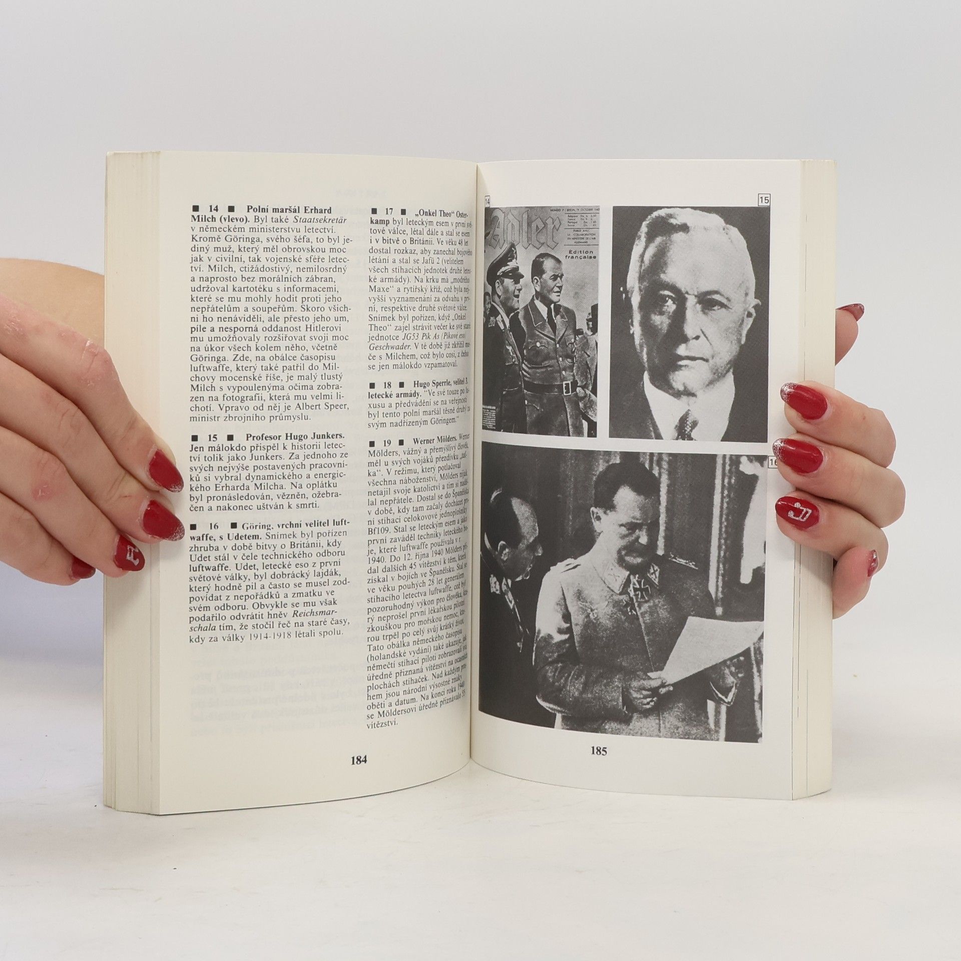 Len Deighton Stíhač