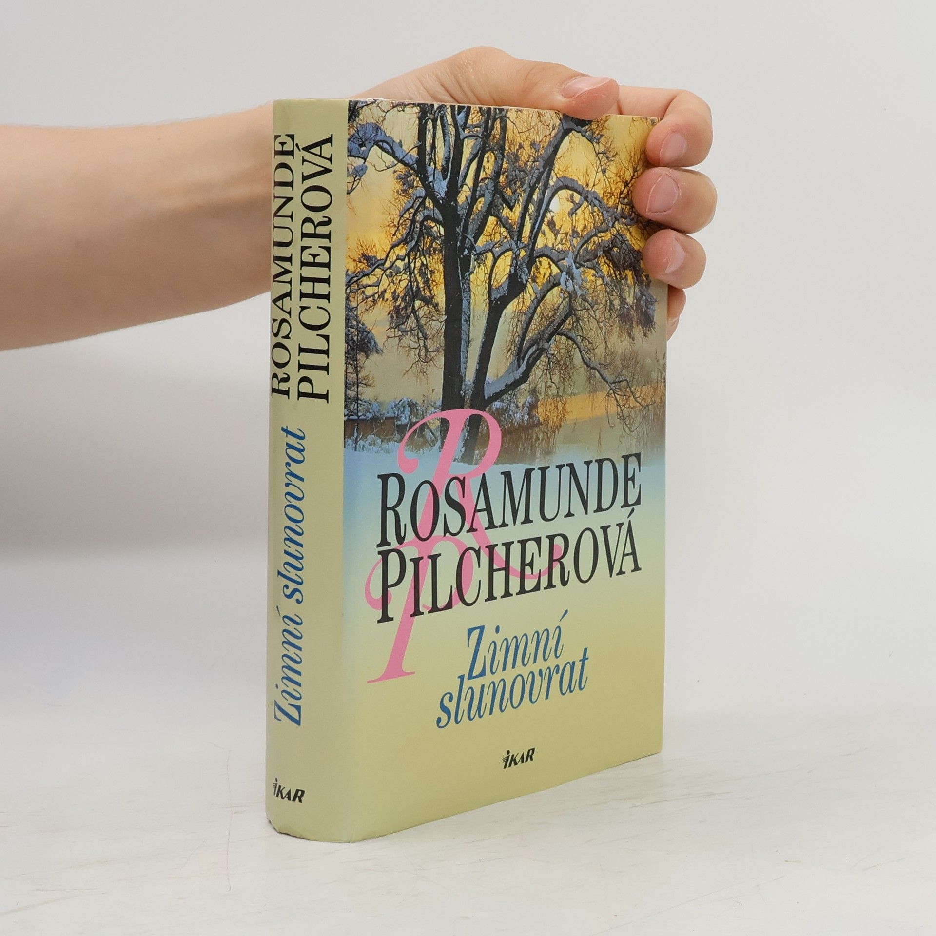 Rosamunde Pilcher Zimní slunovrat