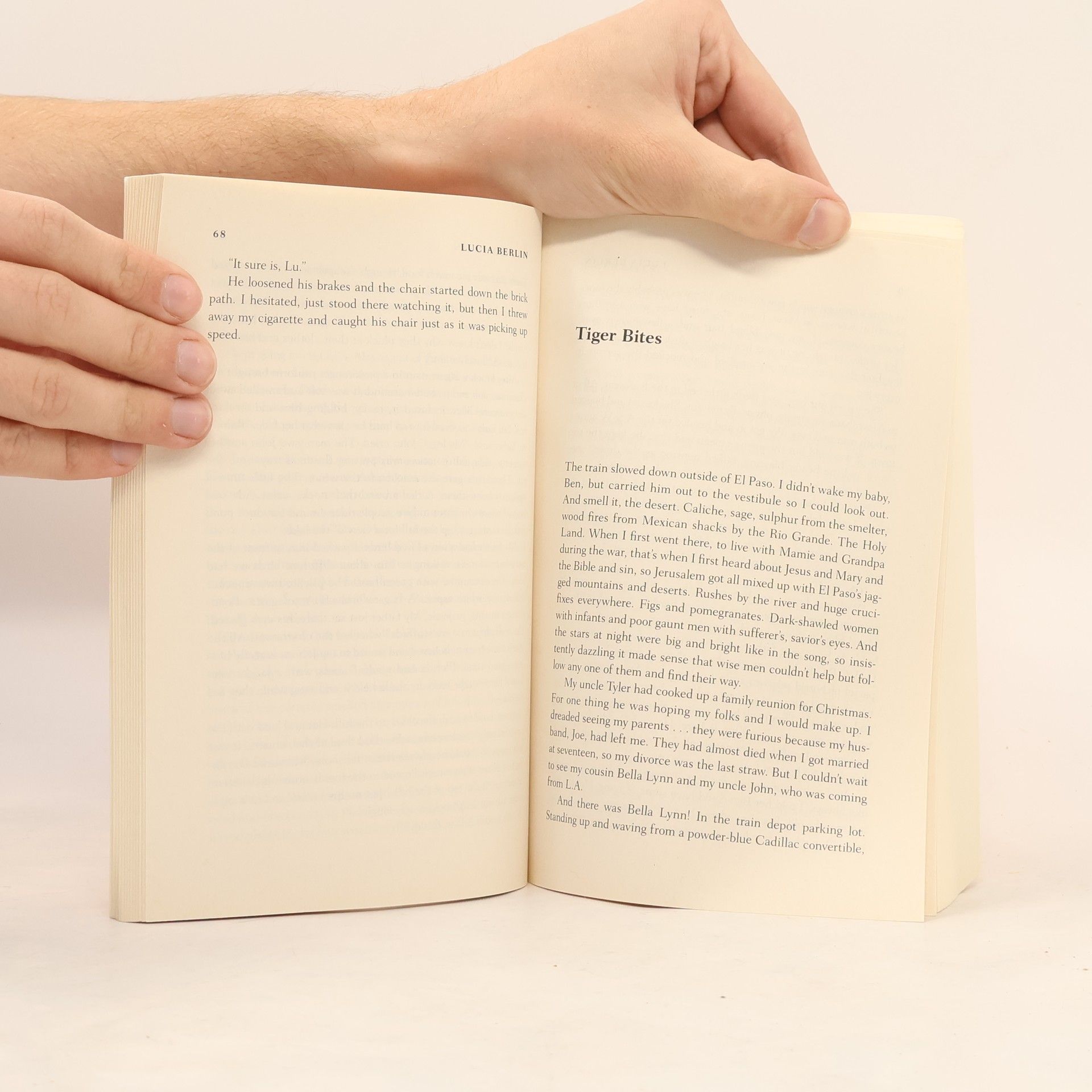 Lucia Berlin A Manual for Cleaning Women
