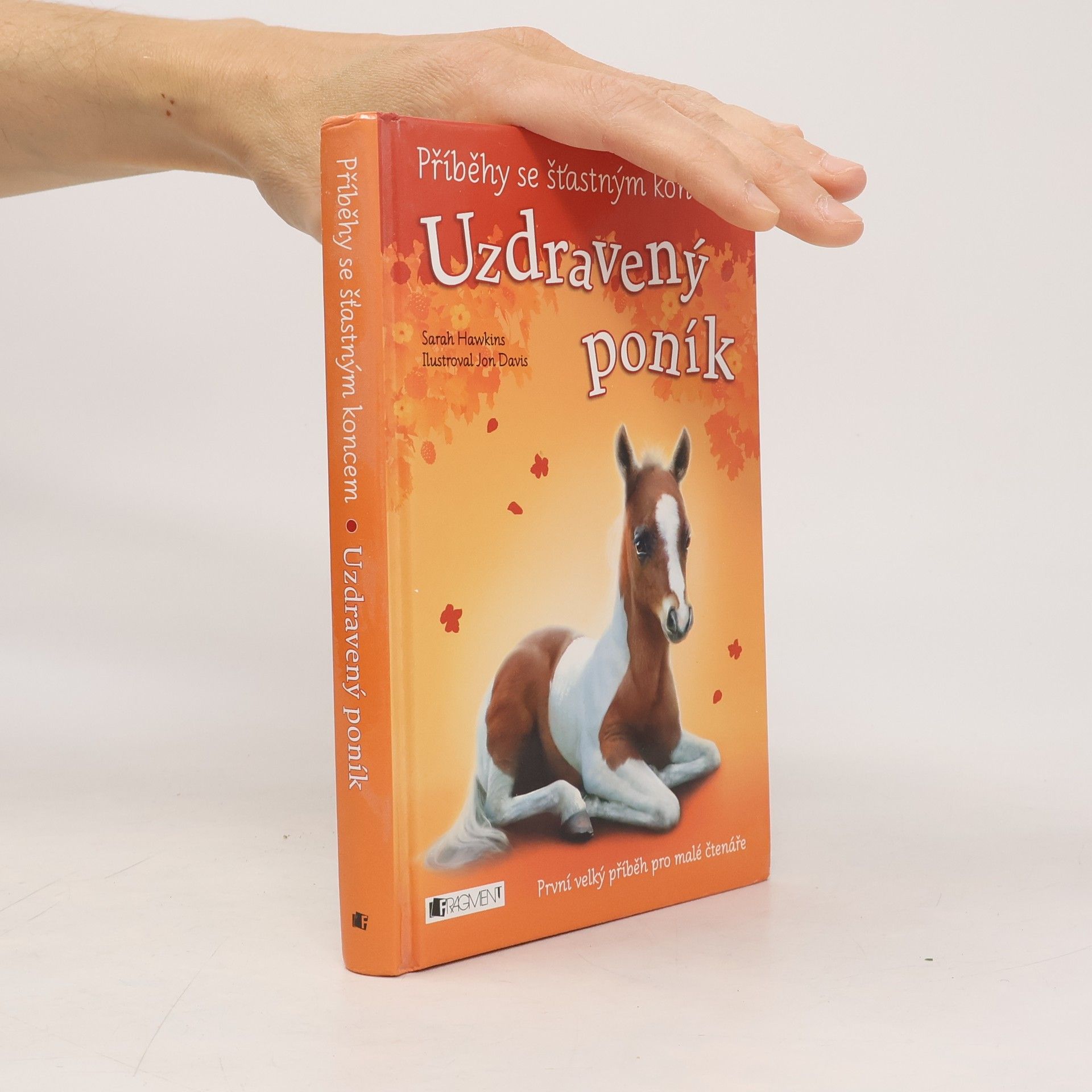 Sarah Hawkins Uzdravený poník