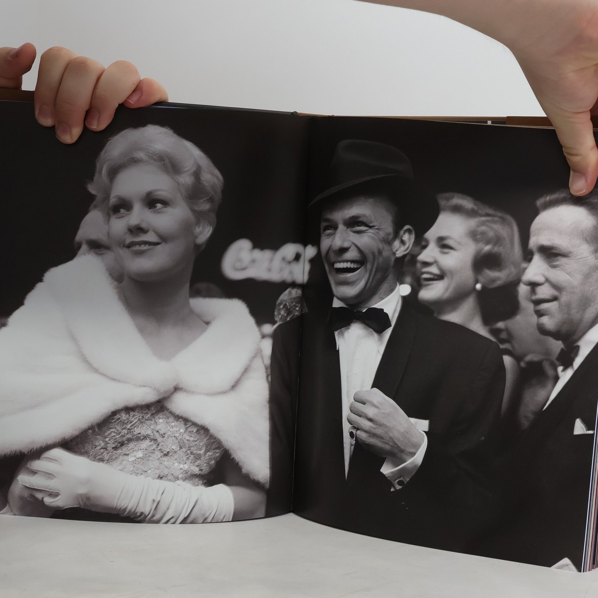 David Wills Frank Sinatra. Filmové dědictví