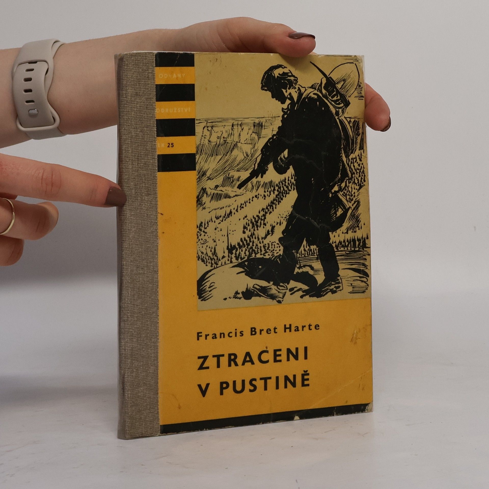 Bret Harte Ztraceni v pustině