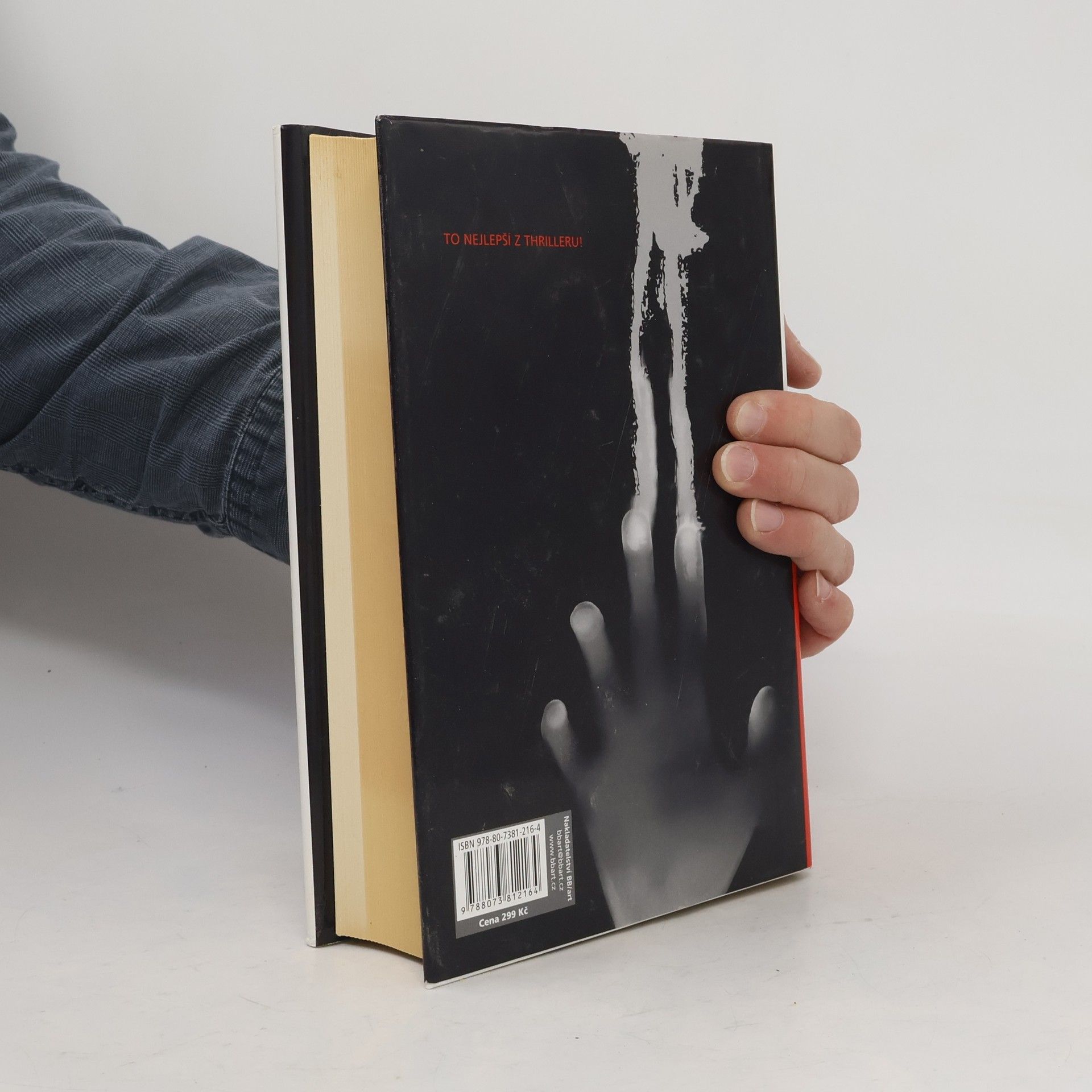 Ted Bell Thriller