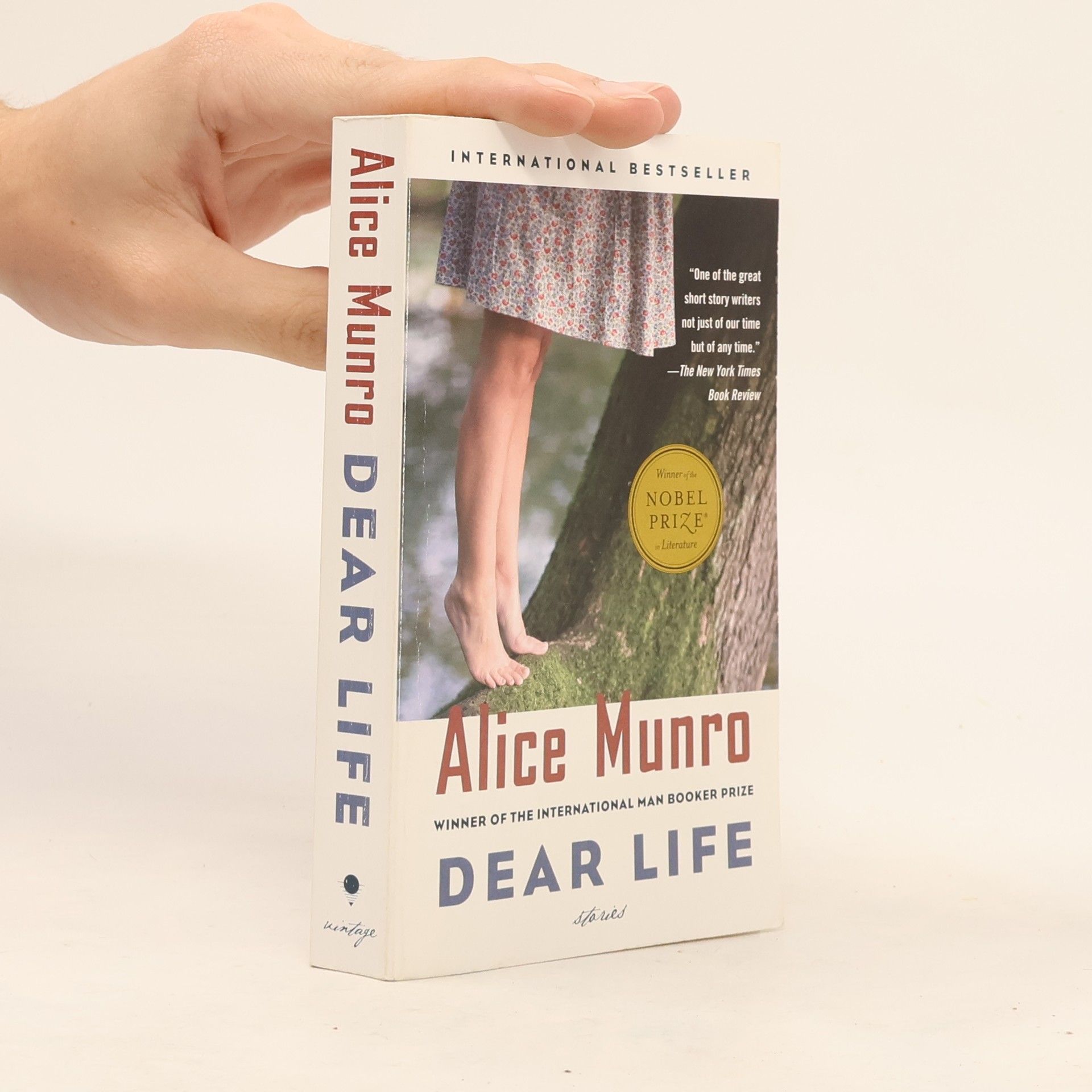 Alice Munro Dear Life