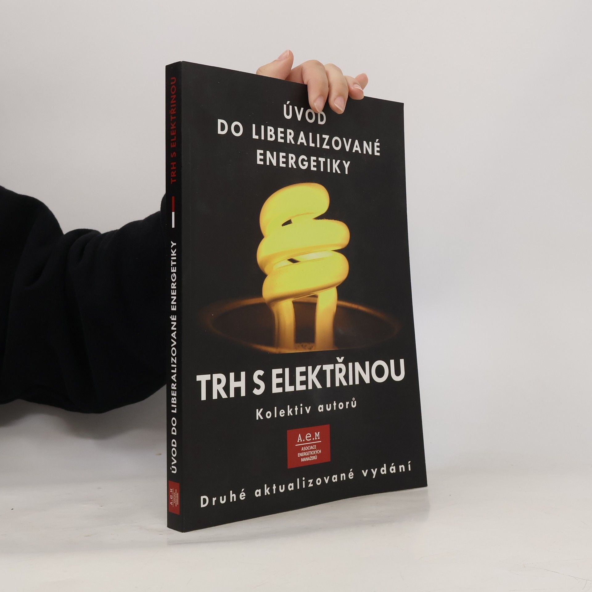 Kolektiv autorů Trh s elektřinou. Úvod do liberalizované energetiky
