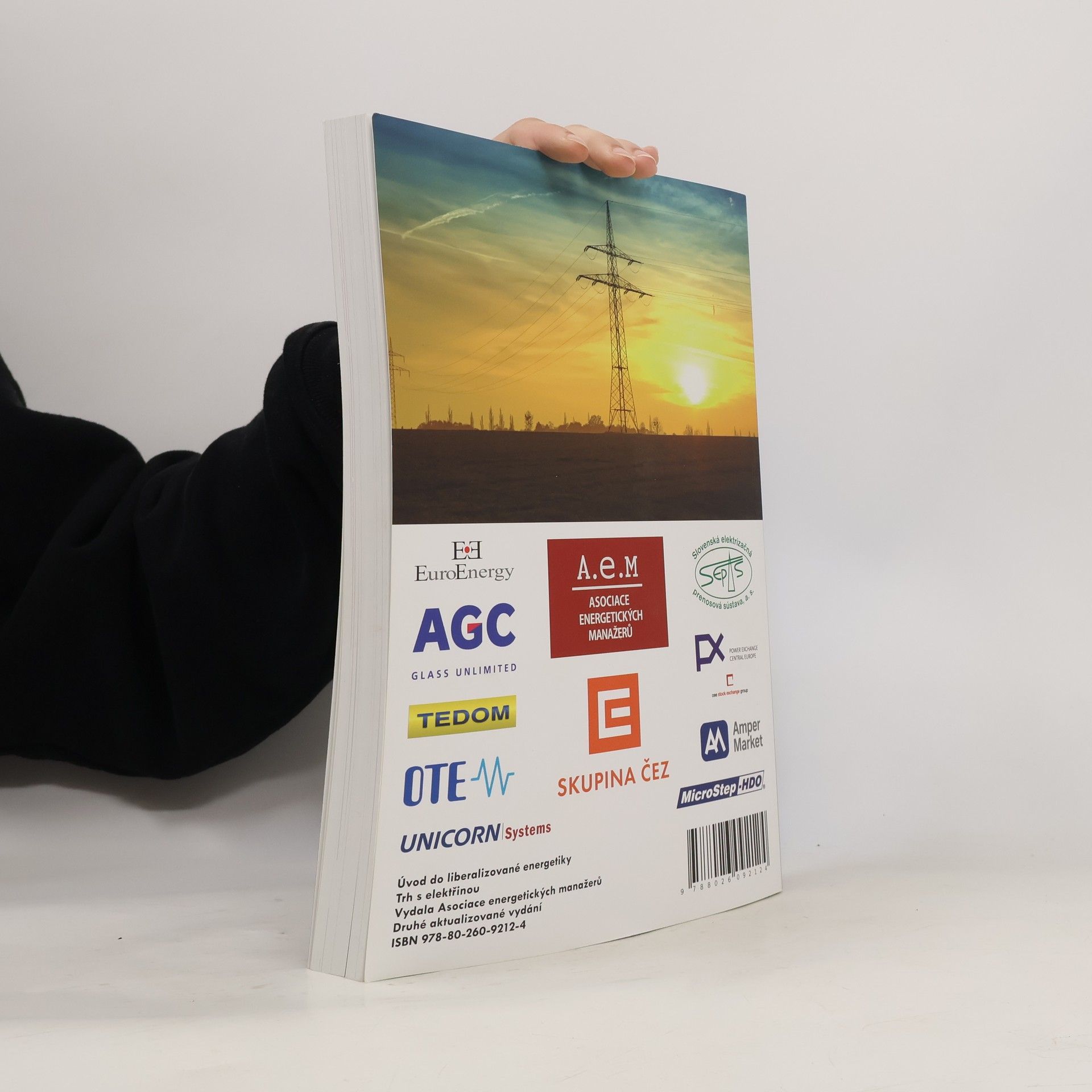 Autorenkollektiv Trh s elektřinou. Úvod do liberalizované energetiky