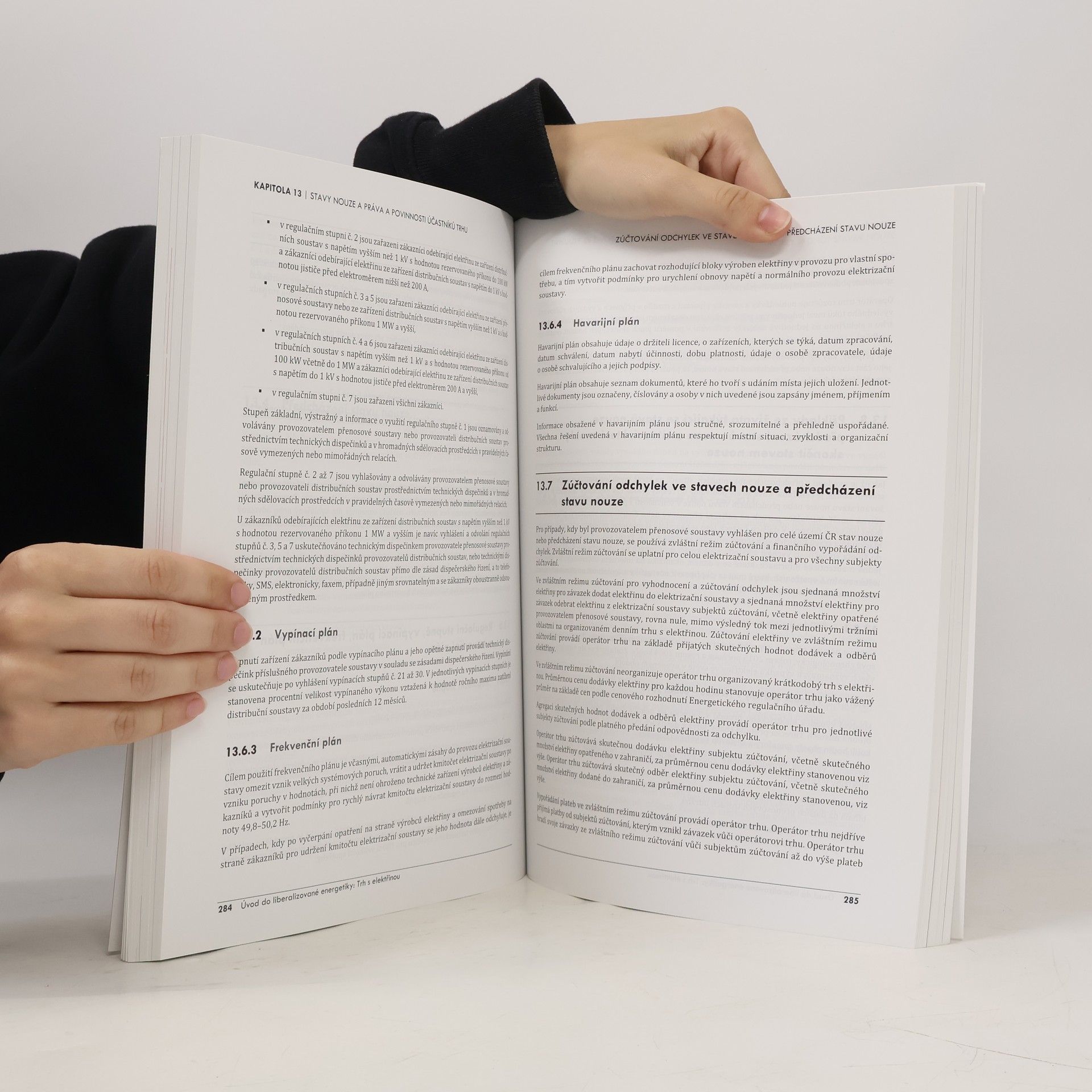 Autorenkollektiv Trh s elektřinou. Úvod do liberalizované energetiky