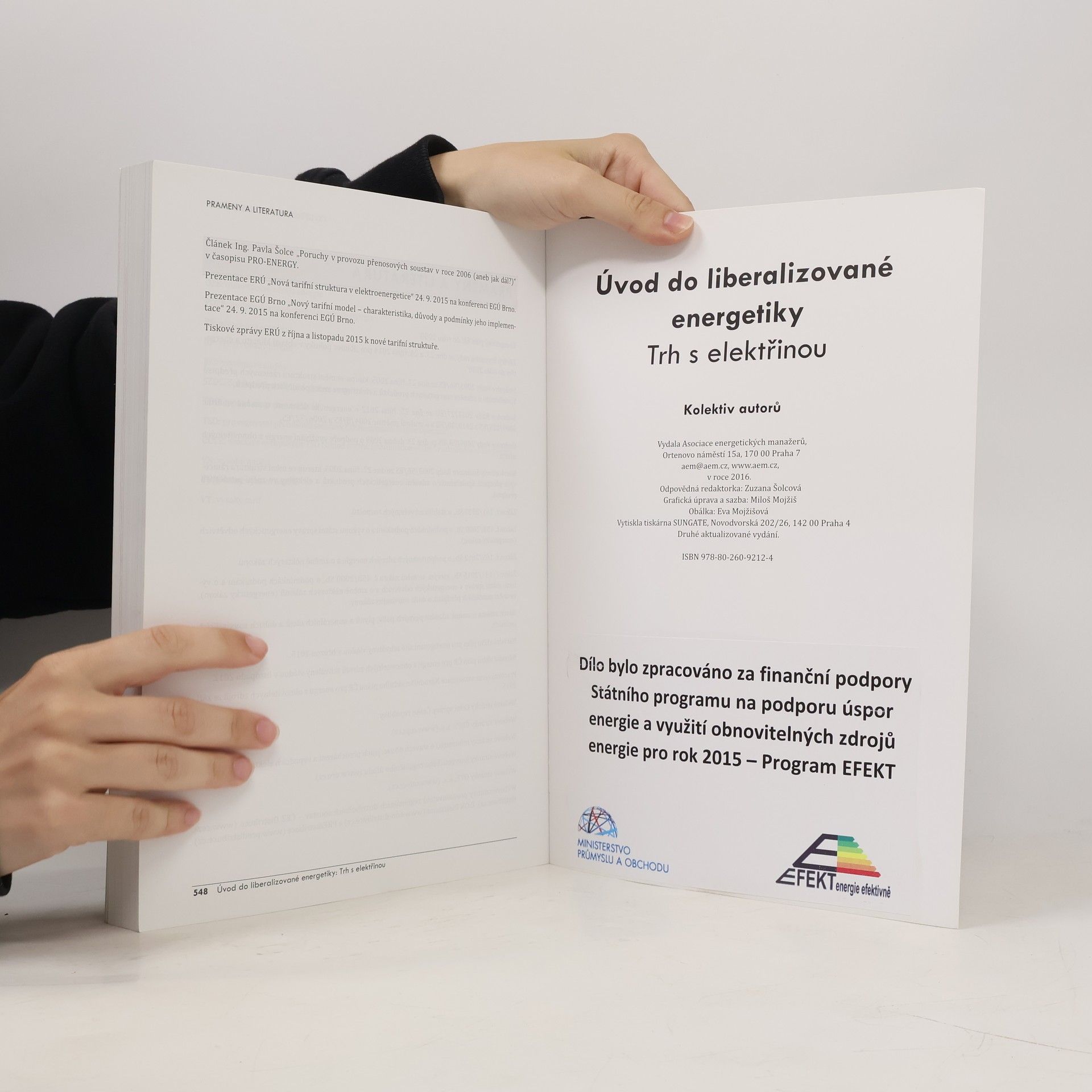 Autorenkollektiv Trh s elektřinou. Úvod do liberalizované energetiky