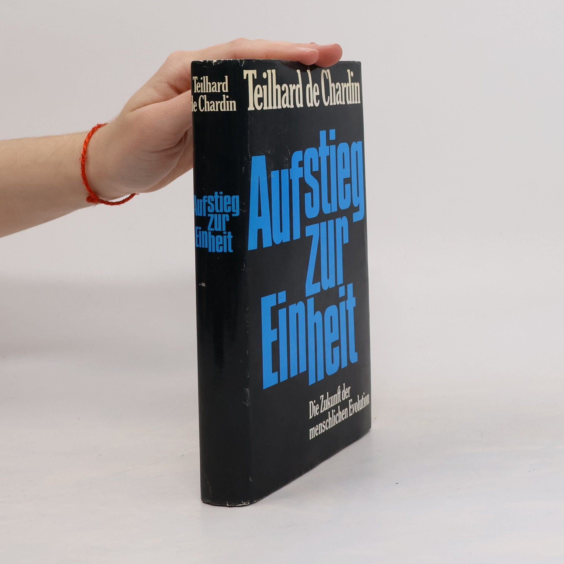 Teilhard de Chardin Aufstieg zur Einheit