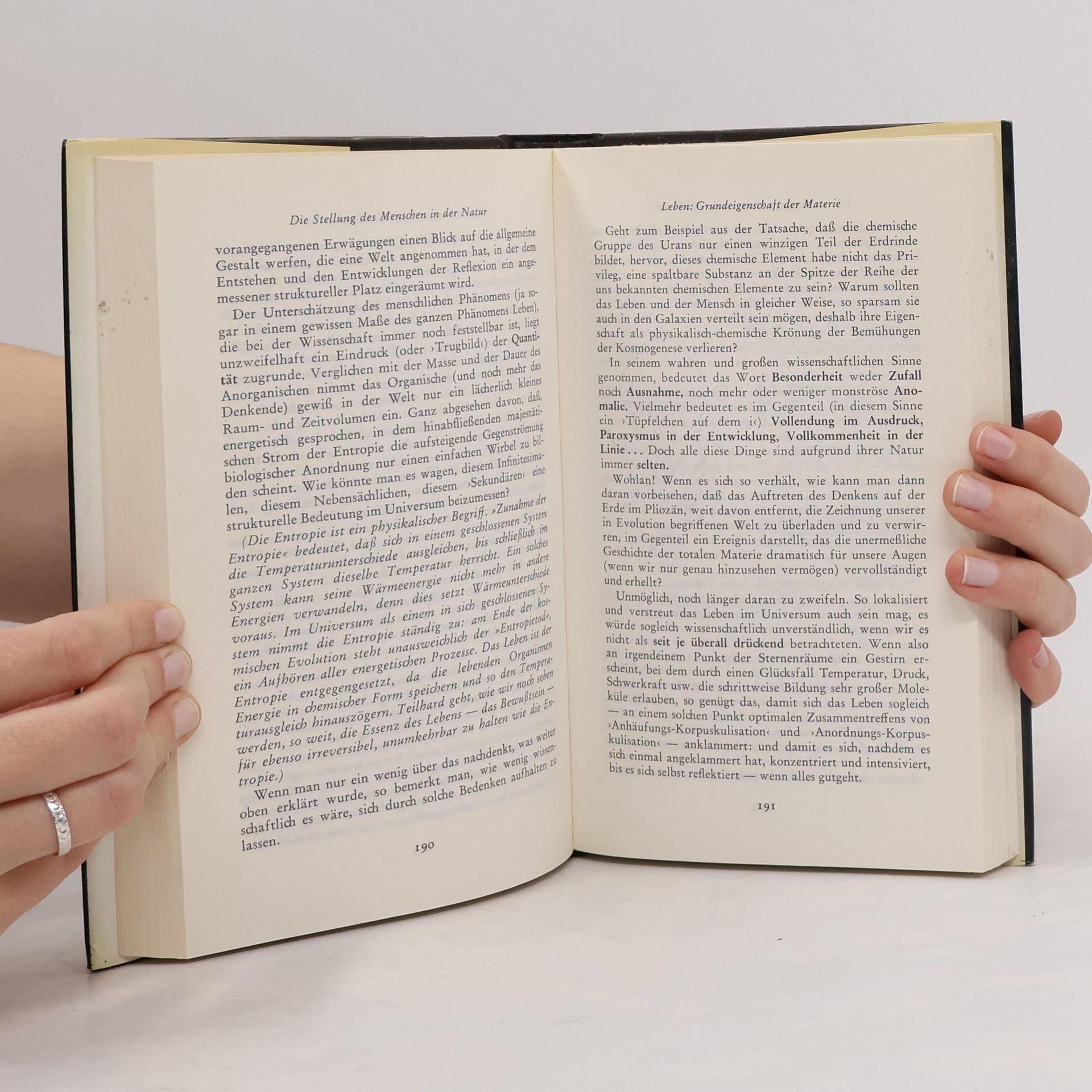 Teilhard de Chardin Aufstieg zur Einheit