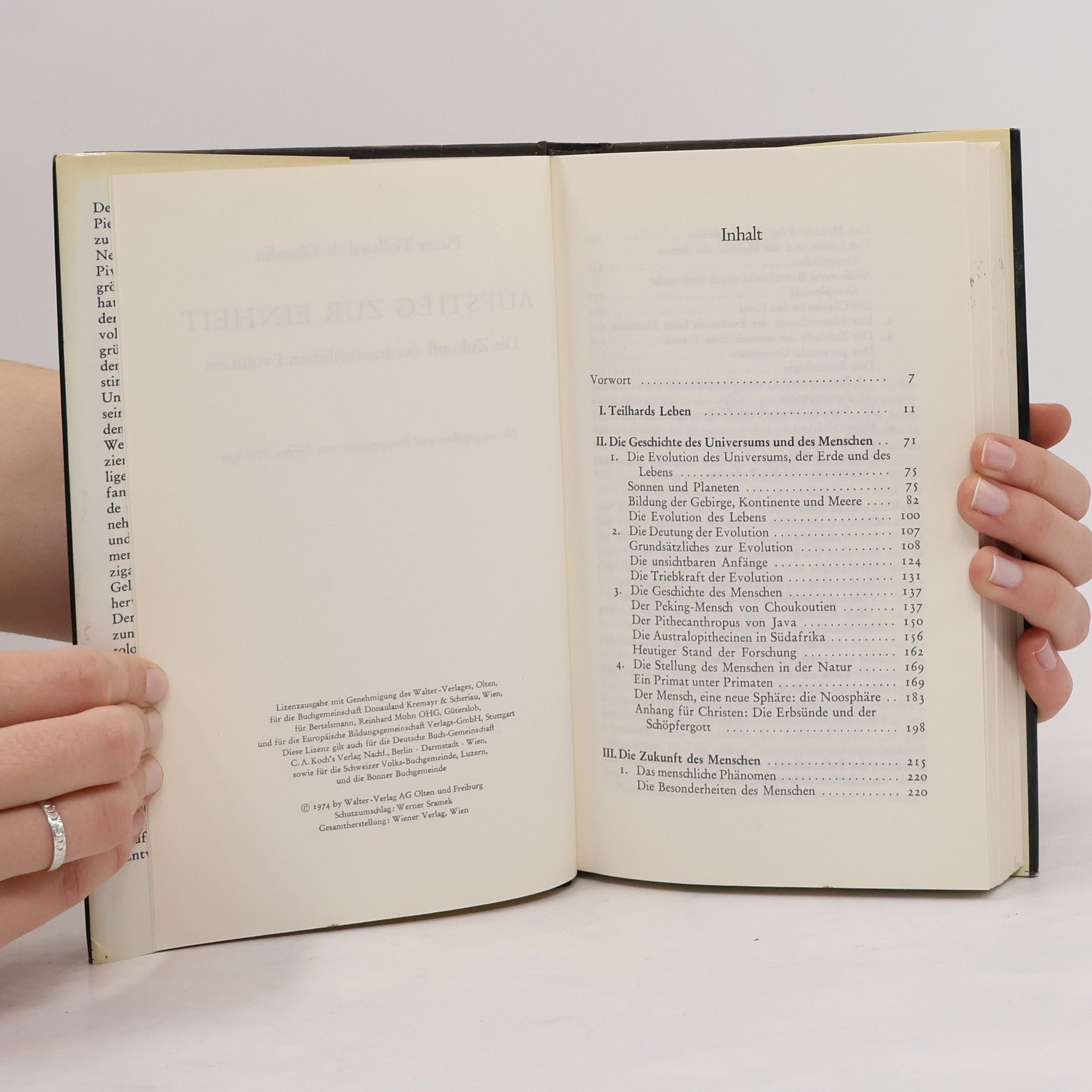 Teilhard de Chardin Aufstieg zur Einheit