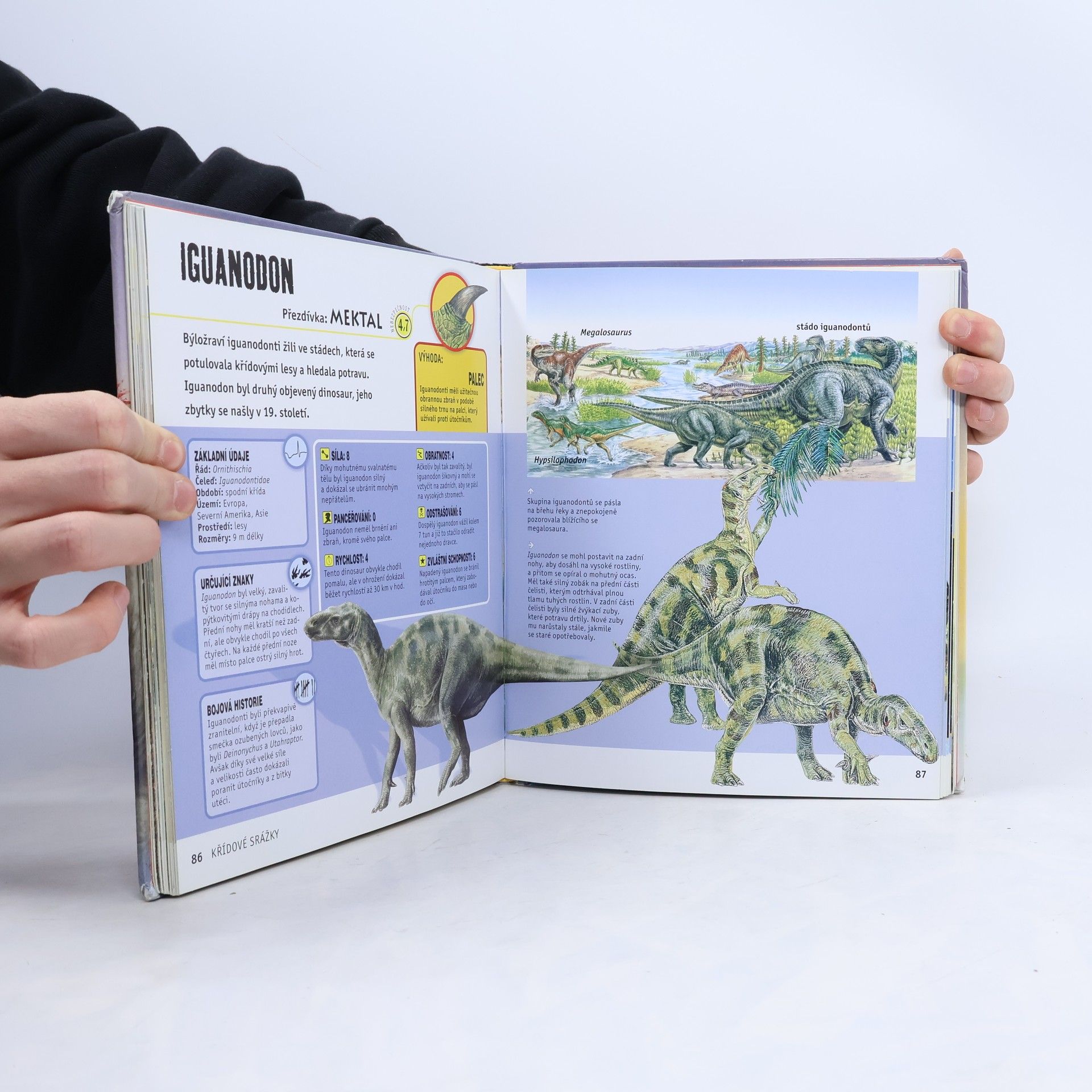 Jinny Johnson Válka dinosaurů