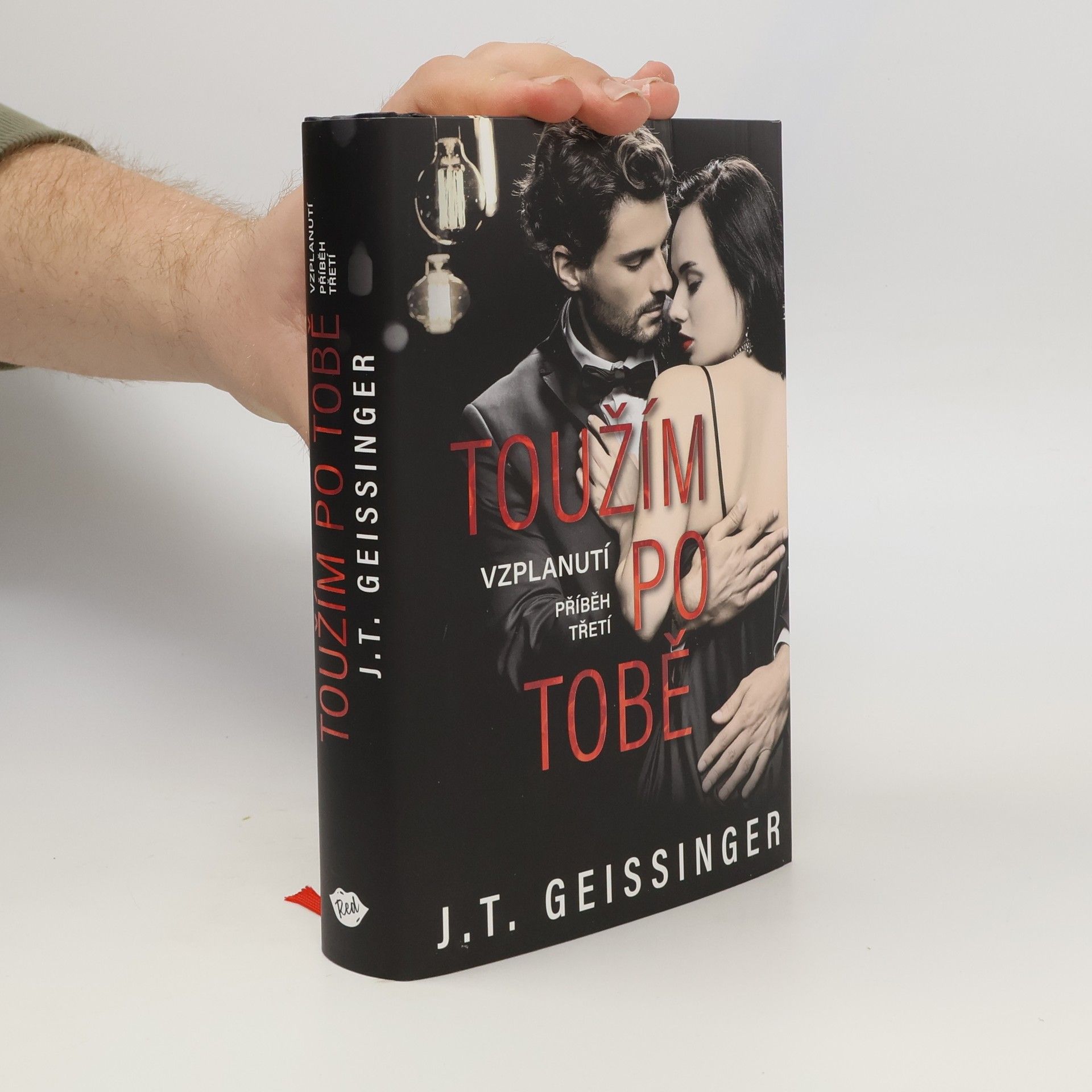 J. T. Geissinger Toužím po tobě