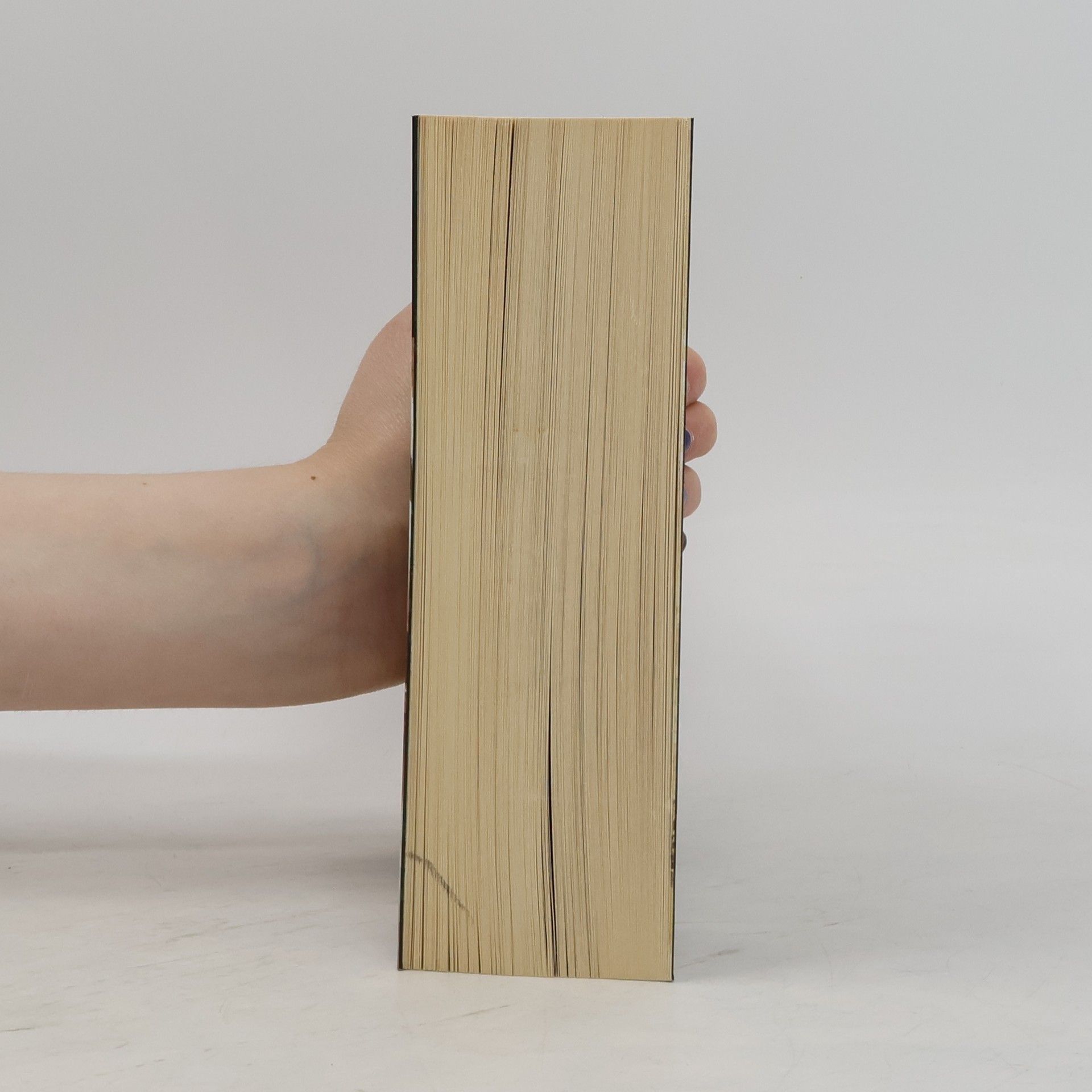 Richard Dübell Die Wächter der Teufelsbibel