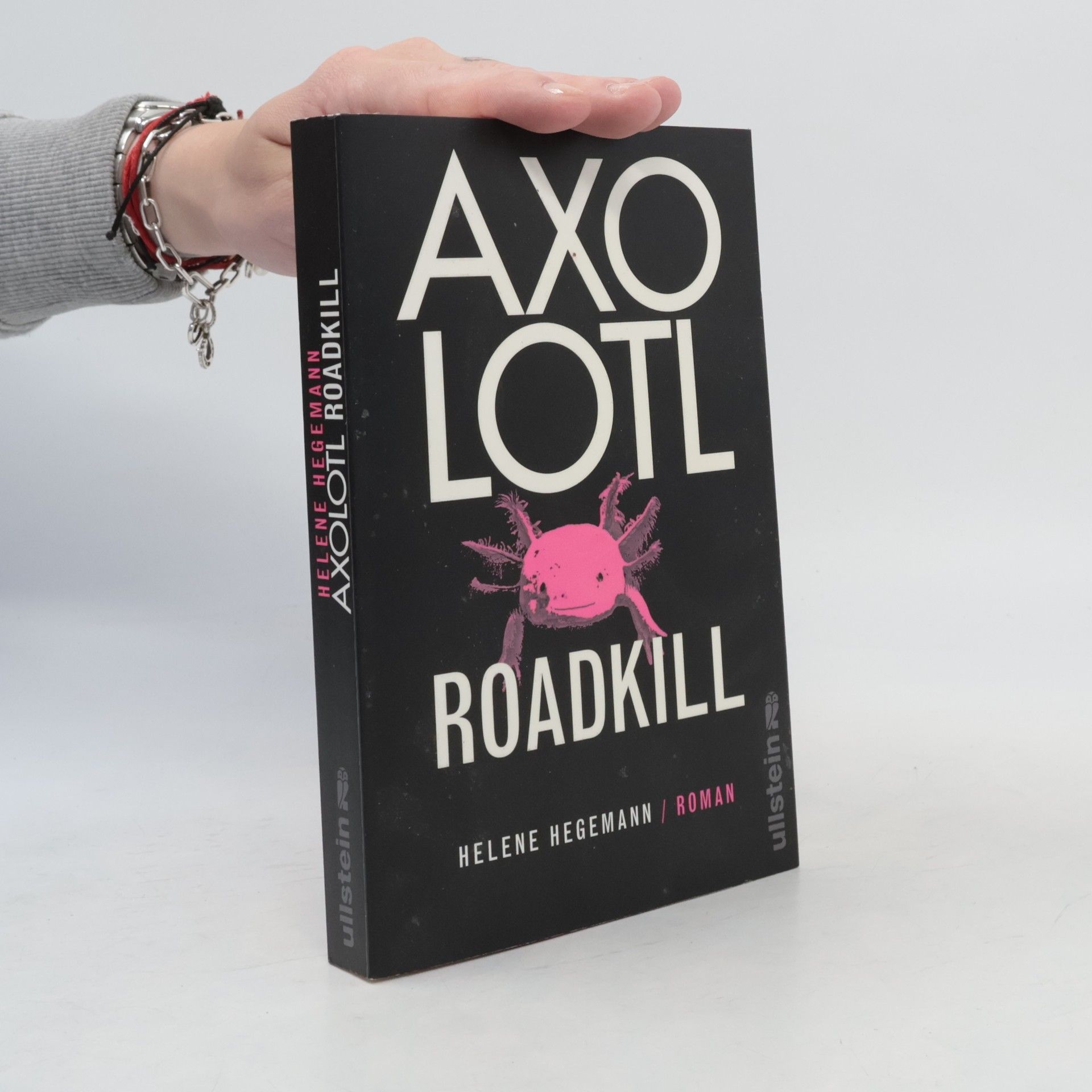 Helene Hegemann Axolotl Roadkill : Roman