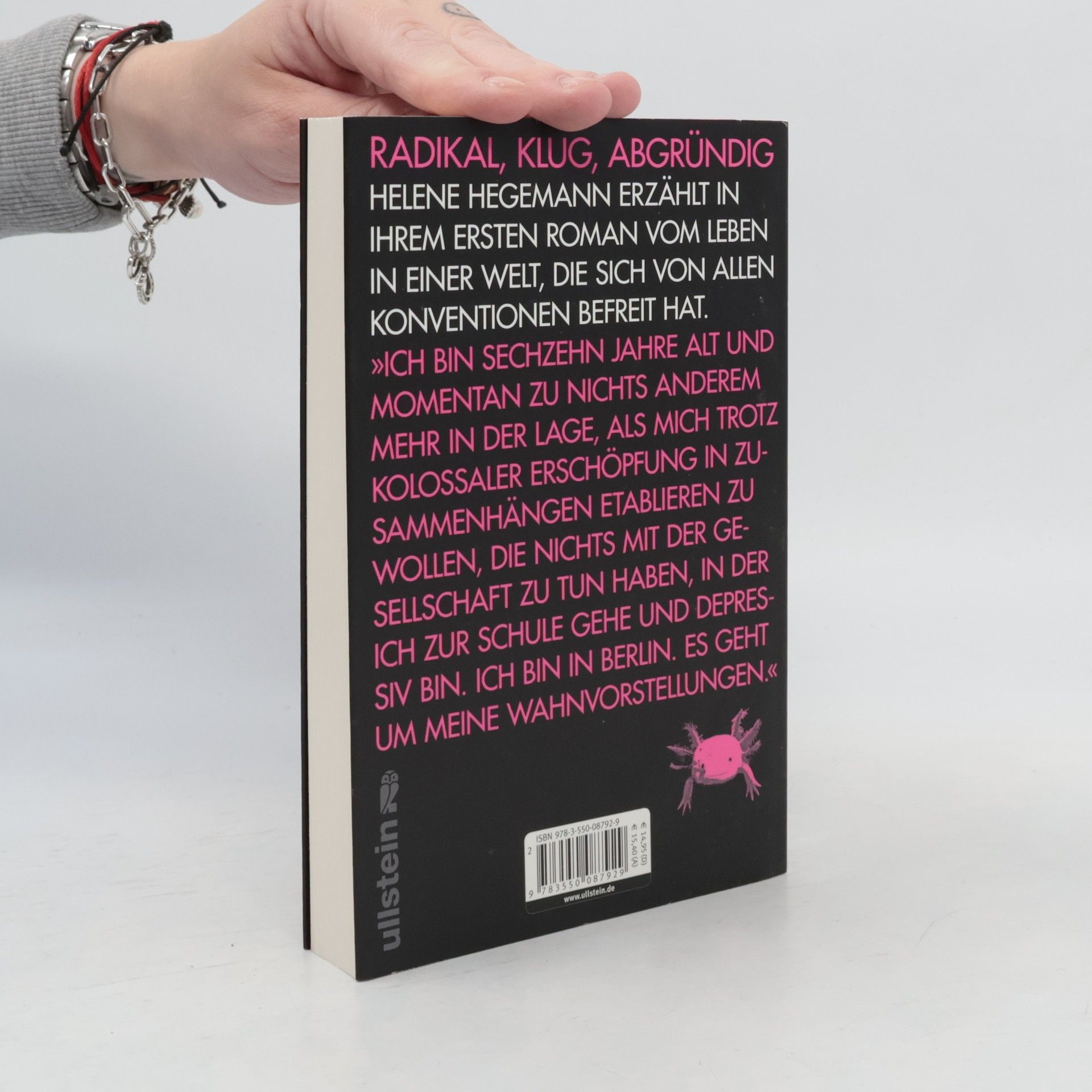 Helene Hegemann Axolotl Roadkill : Roman