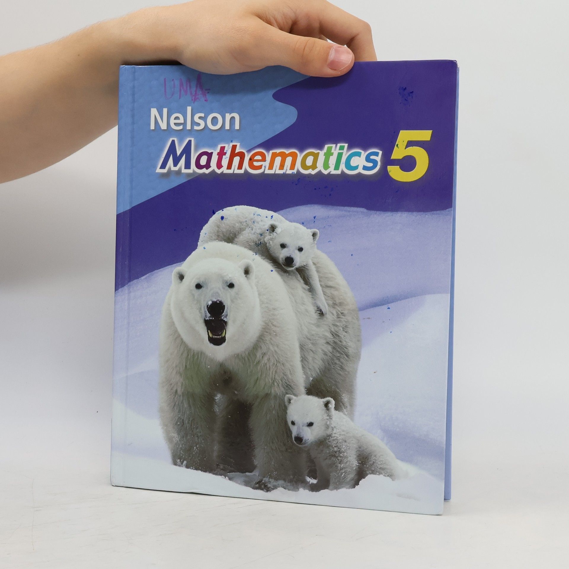 Marian Small Nelson Mathematics 5