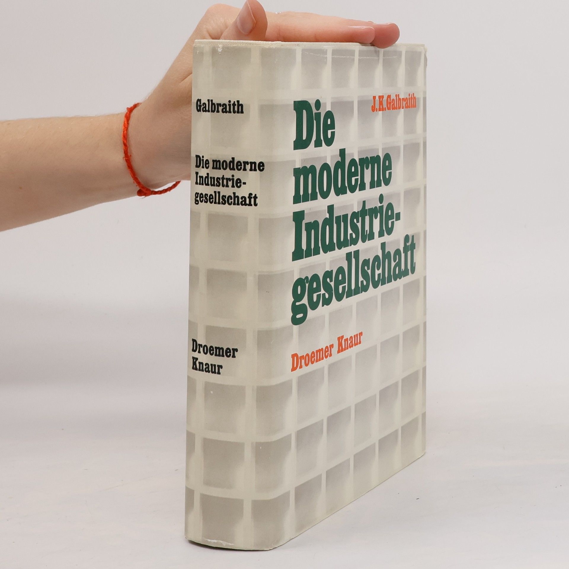 Die moderne Industriegesellschaft