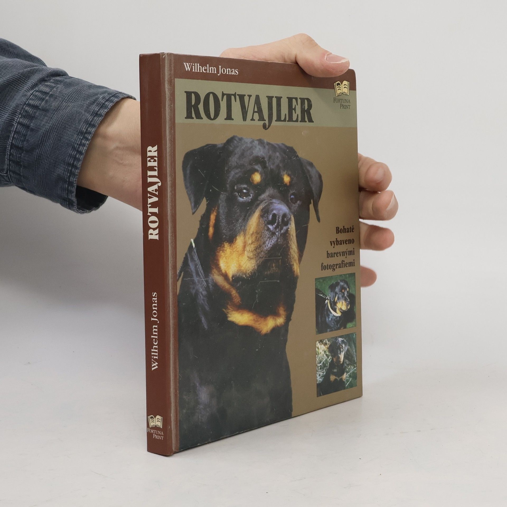 Renee Low Rotvajler