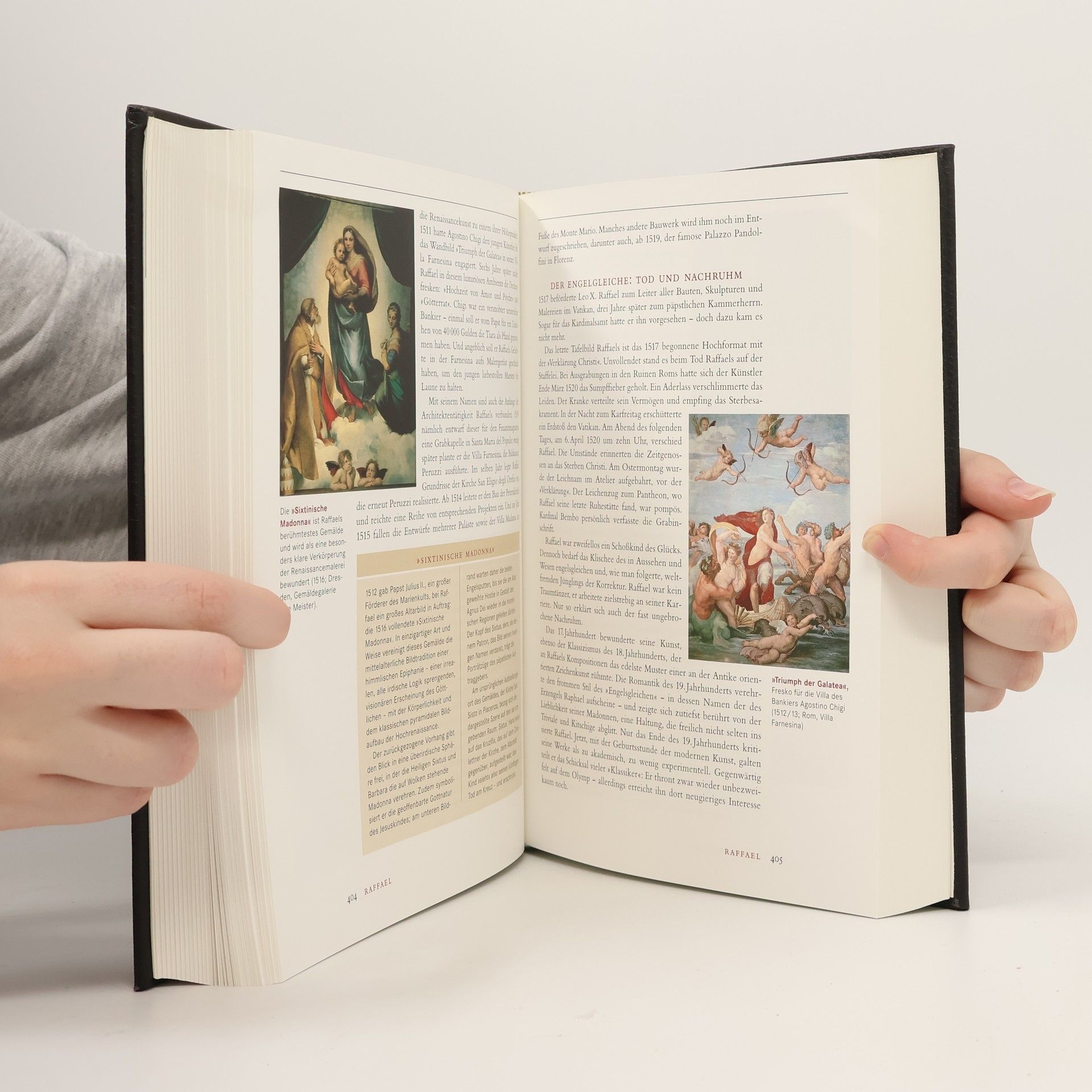 Brockhaus - die Bibliothek