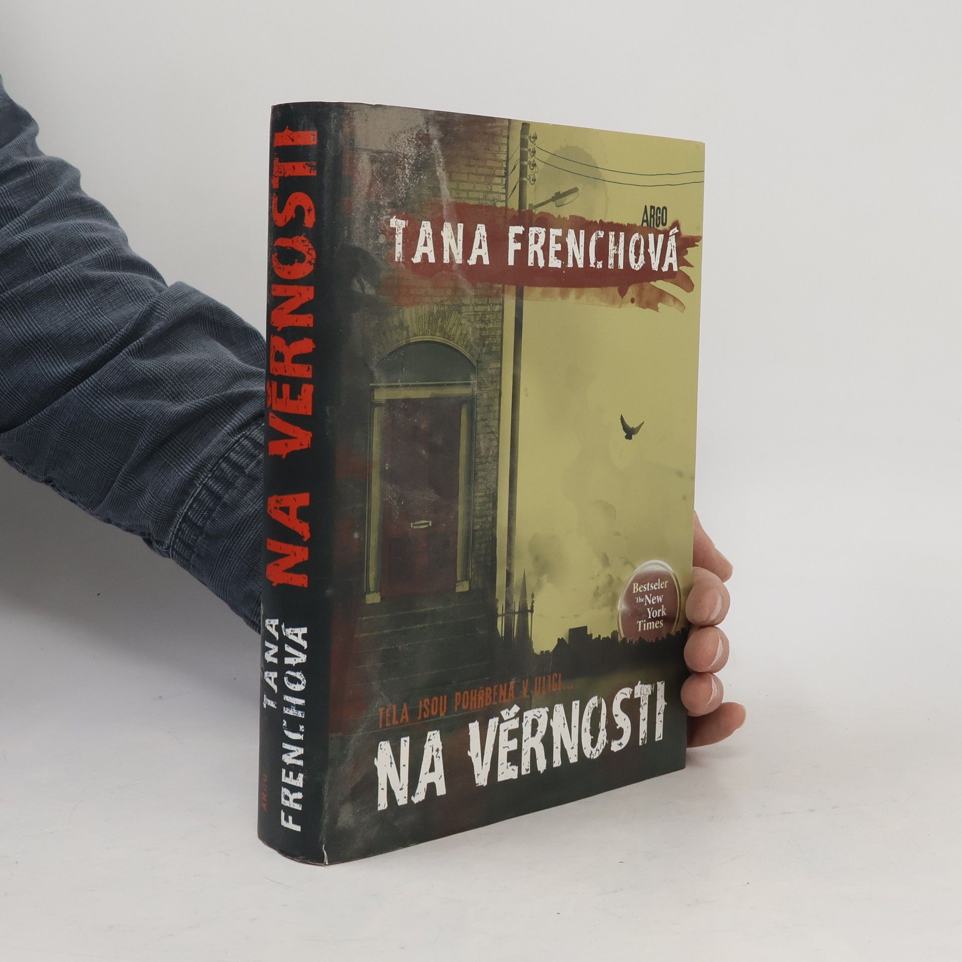 Tana French Na Věrnosti