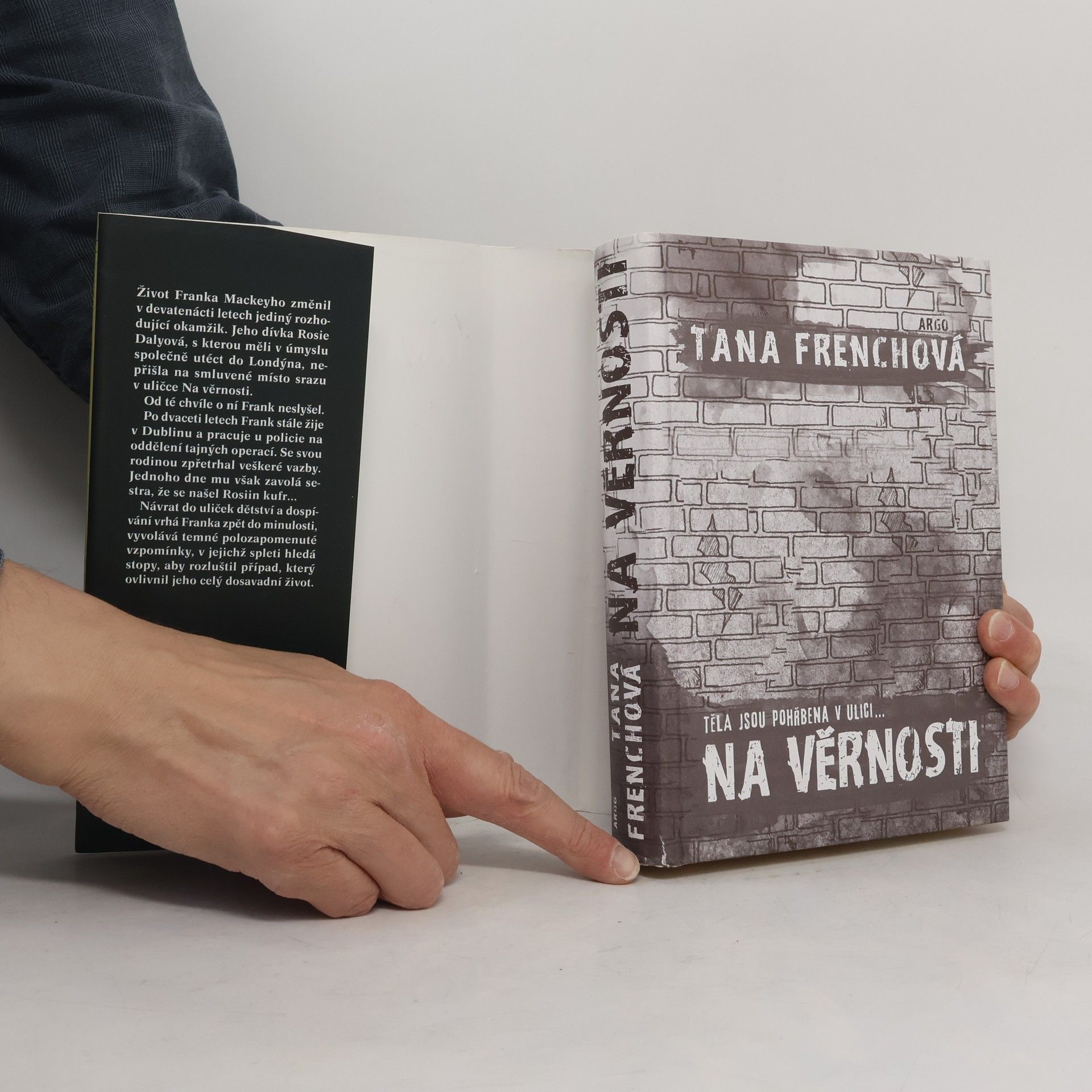 Tana French Na Věrnosti