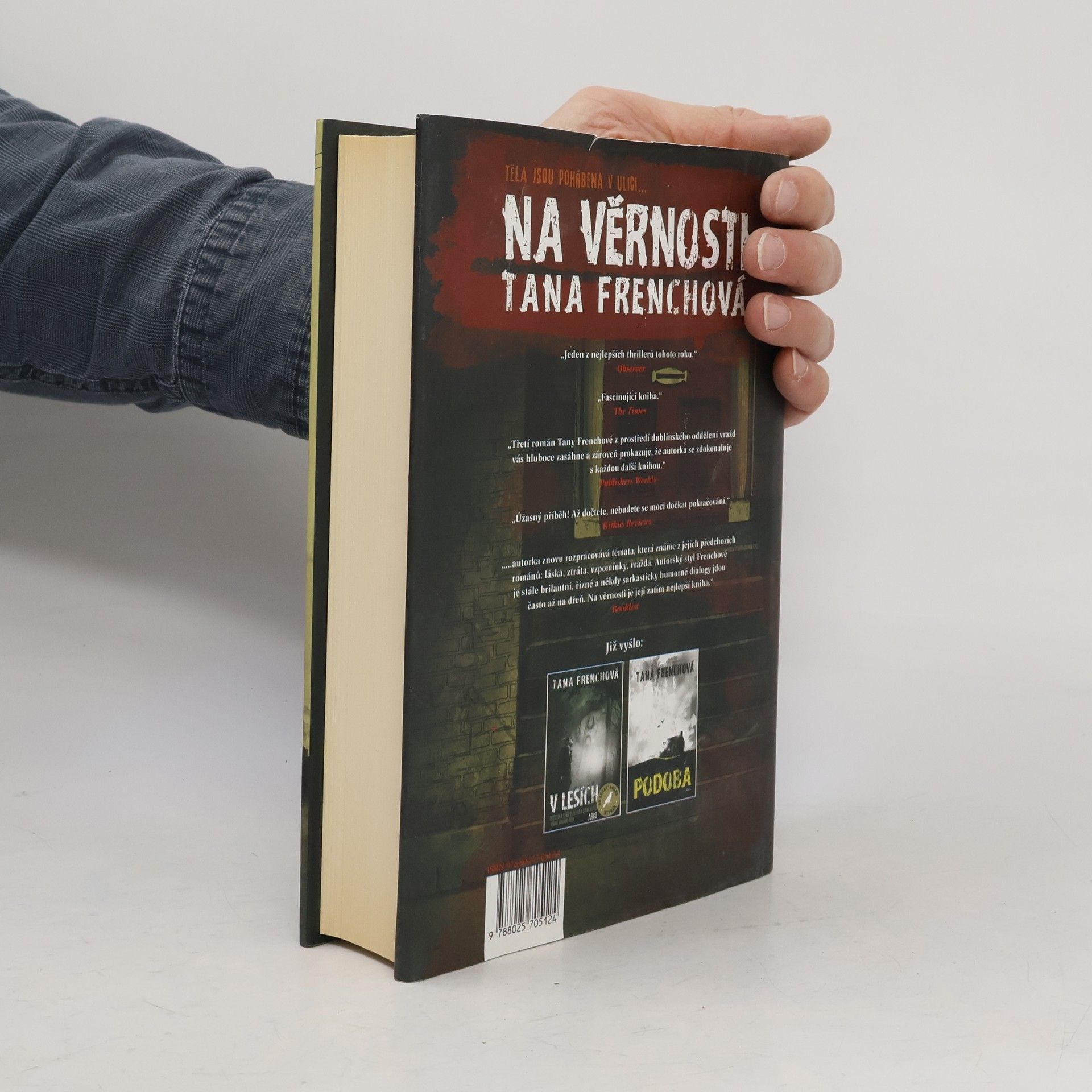 Tana French Na Věrnosti