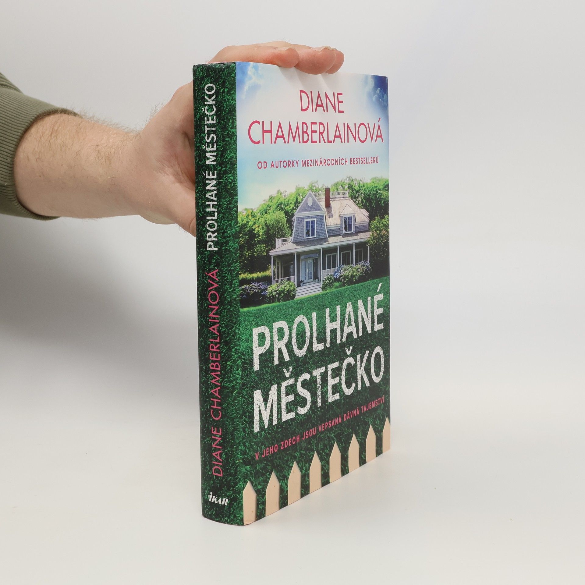 Diane Chamberlain Prolhané městečko