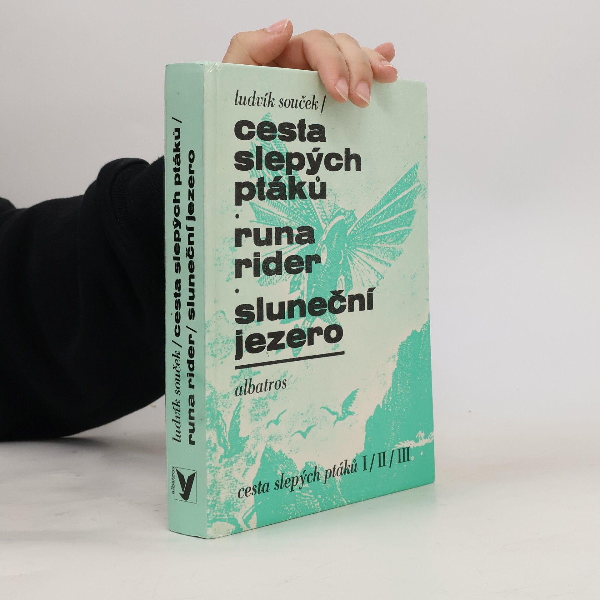 Ludvík Souček Cesta slepých ptáků. Runa rider. Sluneční jezero